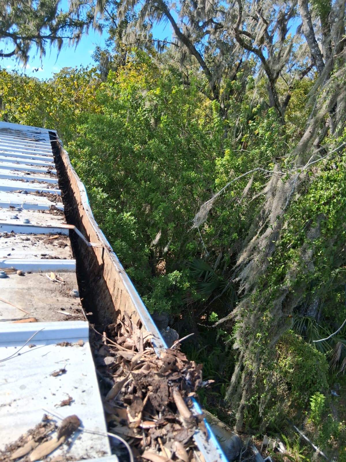 Clean Gutters and Seal Seams in Lakeland FL by Gutter Professors
