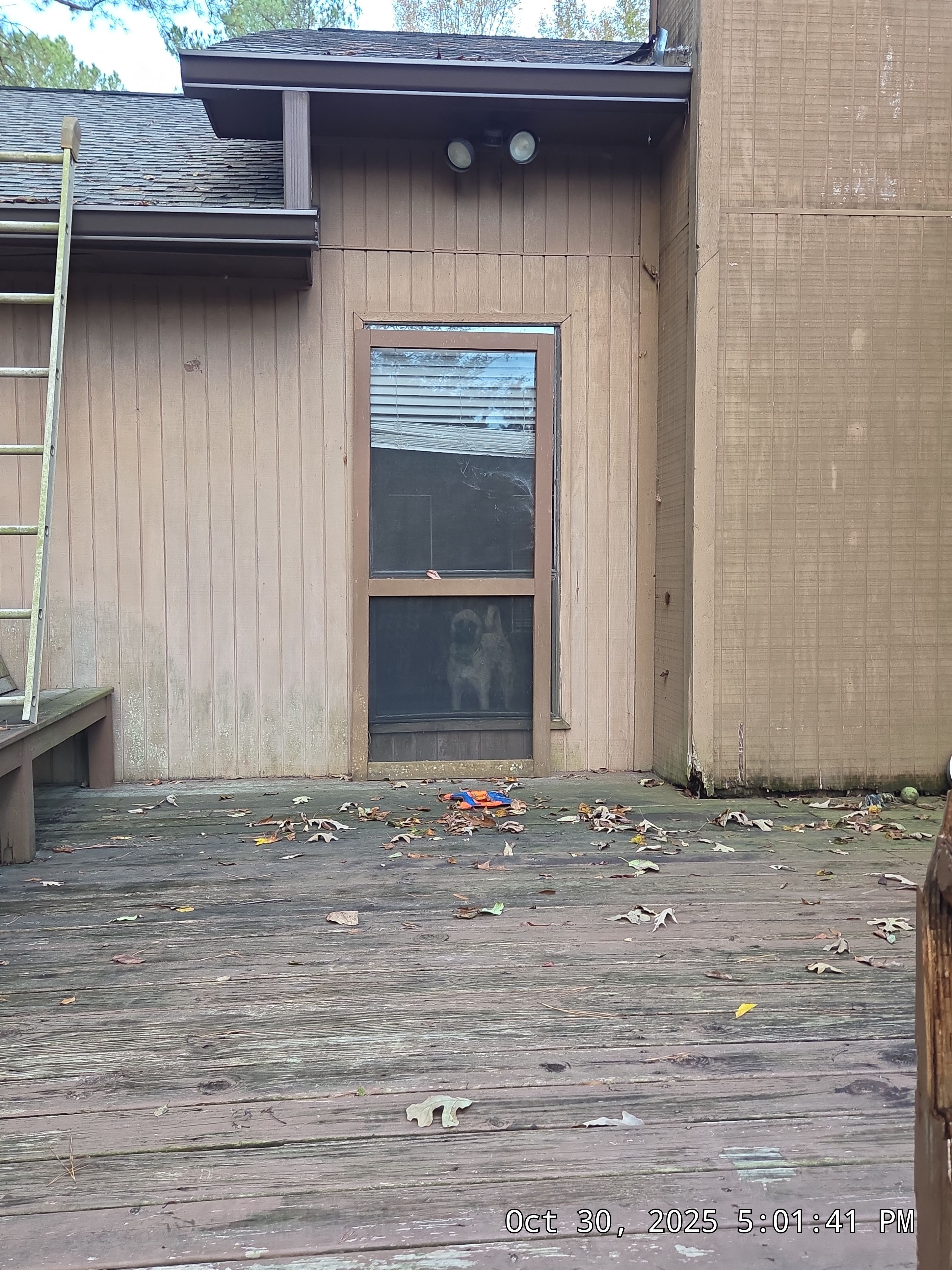 Buis Project in Pelham by The Window Source