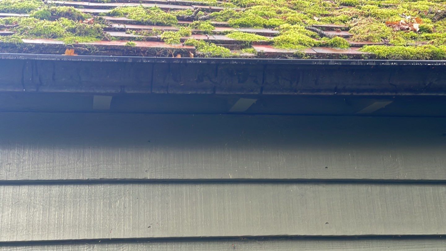 Exterior Clean - Roof - Pool  using Mosmatic FSC and Biocide by Ges Exterior Cleaning ltd