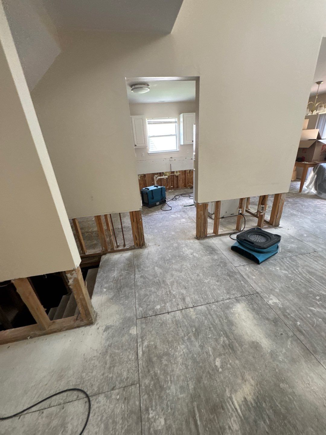 Project in Commerce Twp by EzDry Water Mitigation & Property Restoration