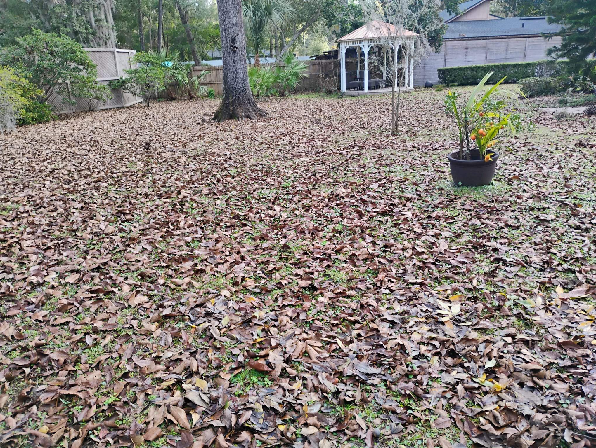 Residential Property Maintenance — Mandarin  Jacksonville, Fl by Harmoni Home Services