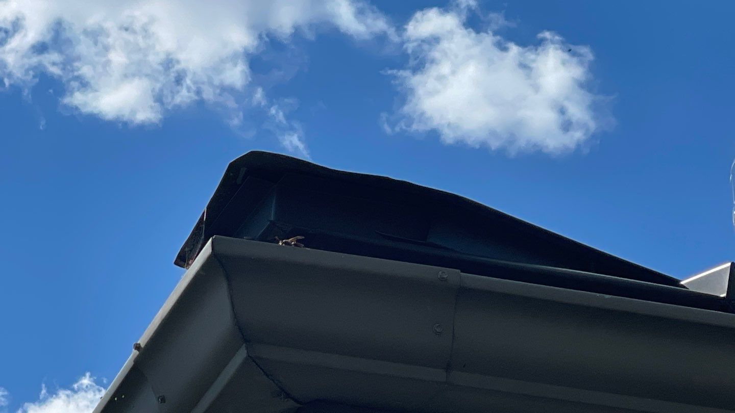 Roof Damage using Certainteed Lifetime Roofing System- Moire Black Landmark Pro shingkes with shadow ridge caps. by BulletpROOF Exteriors