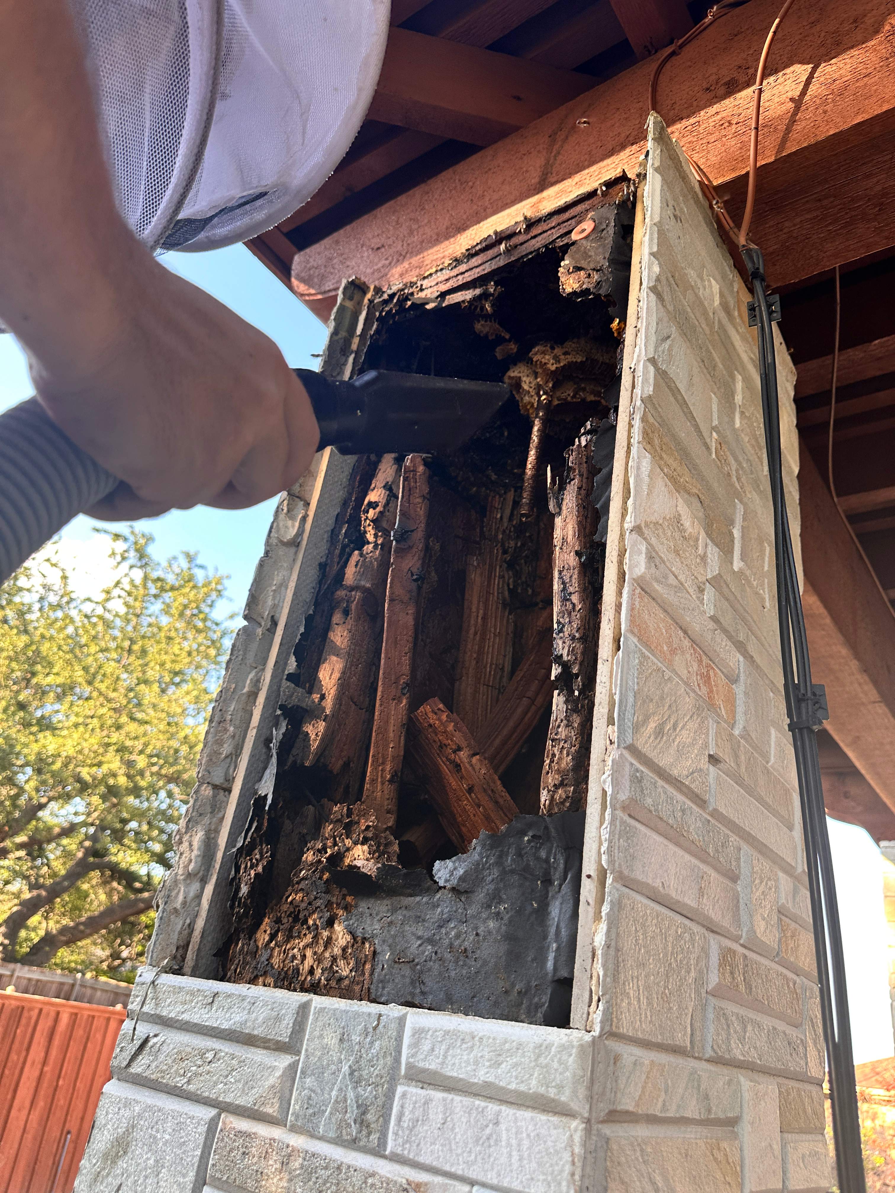 Scary Pergola by Rockwall Honey Bee Company