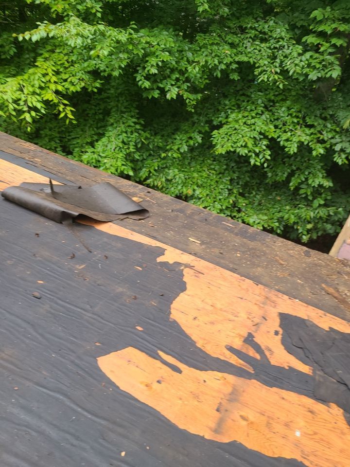 Fairfax Station: CertainTeed Landmark Pro Designer Shingles in Max Def Resawn Shake by RM Banning, Inc.