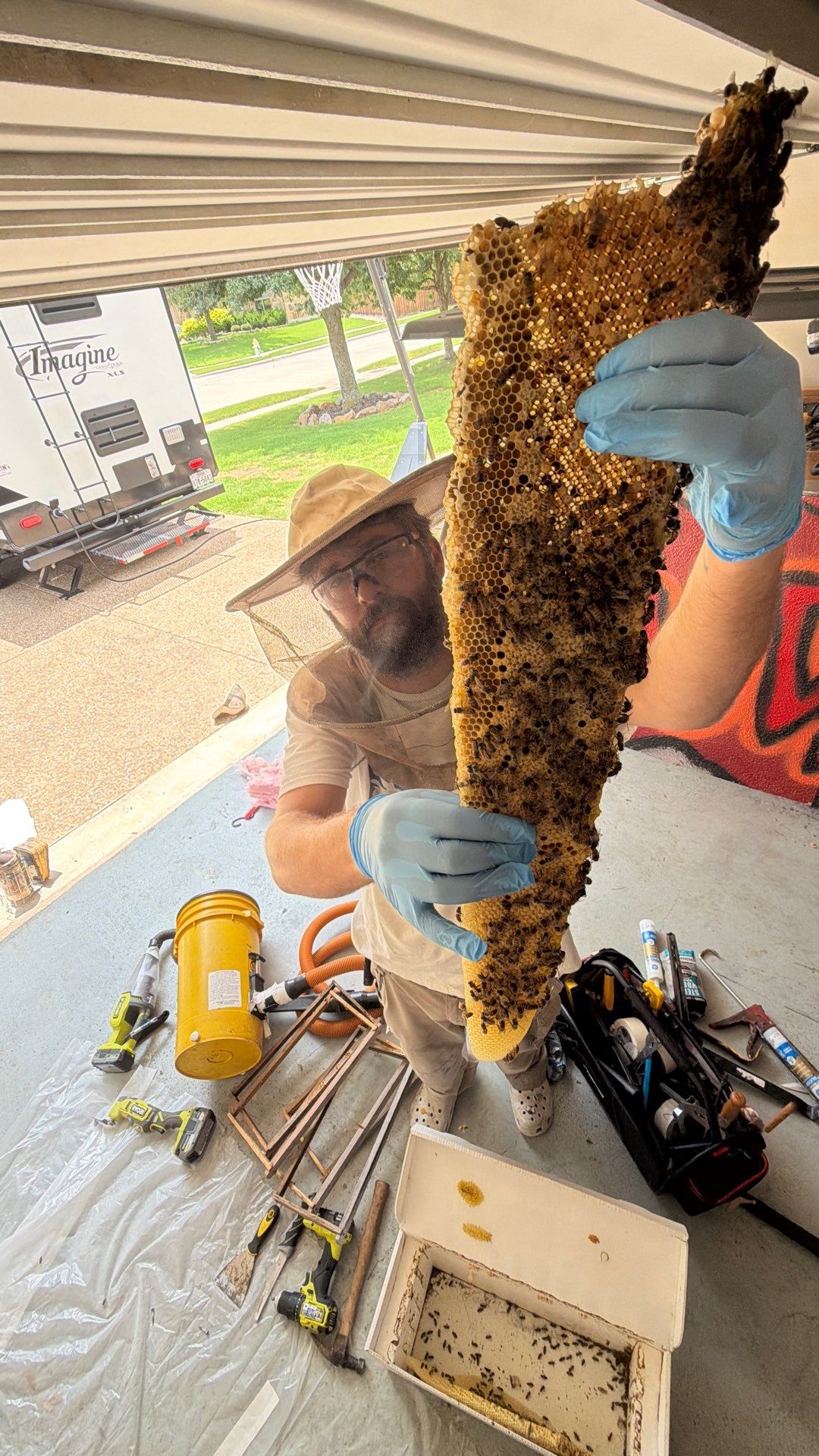 Bees a’Prosper by Rockwall Honey Bee Company