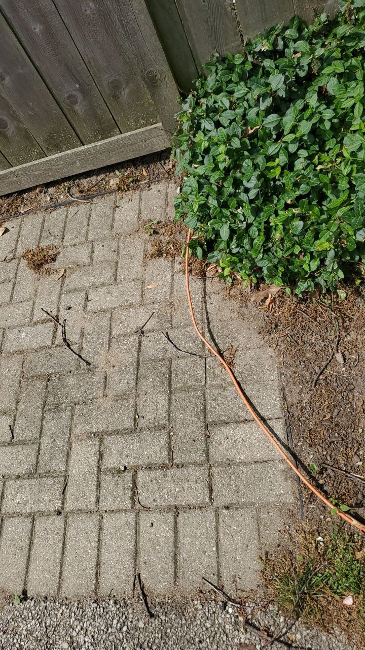Brick patio repair, clean sand and seal by Northern Power Washing LLC.