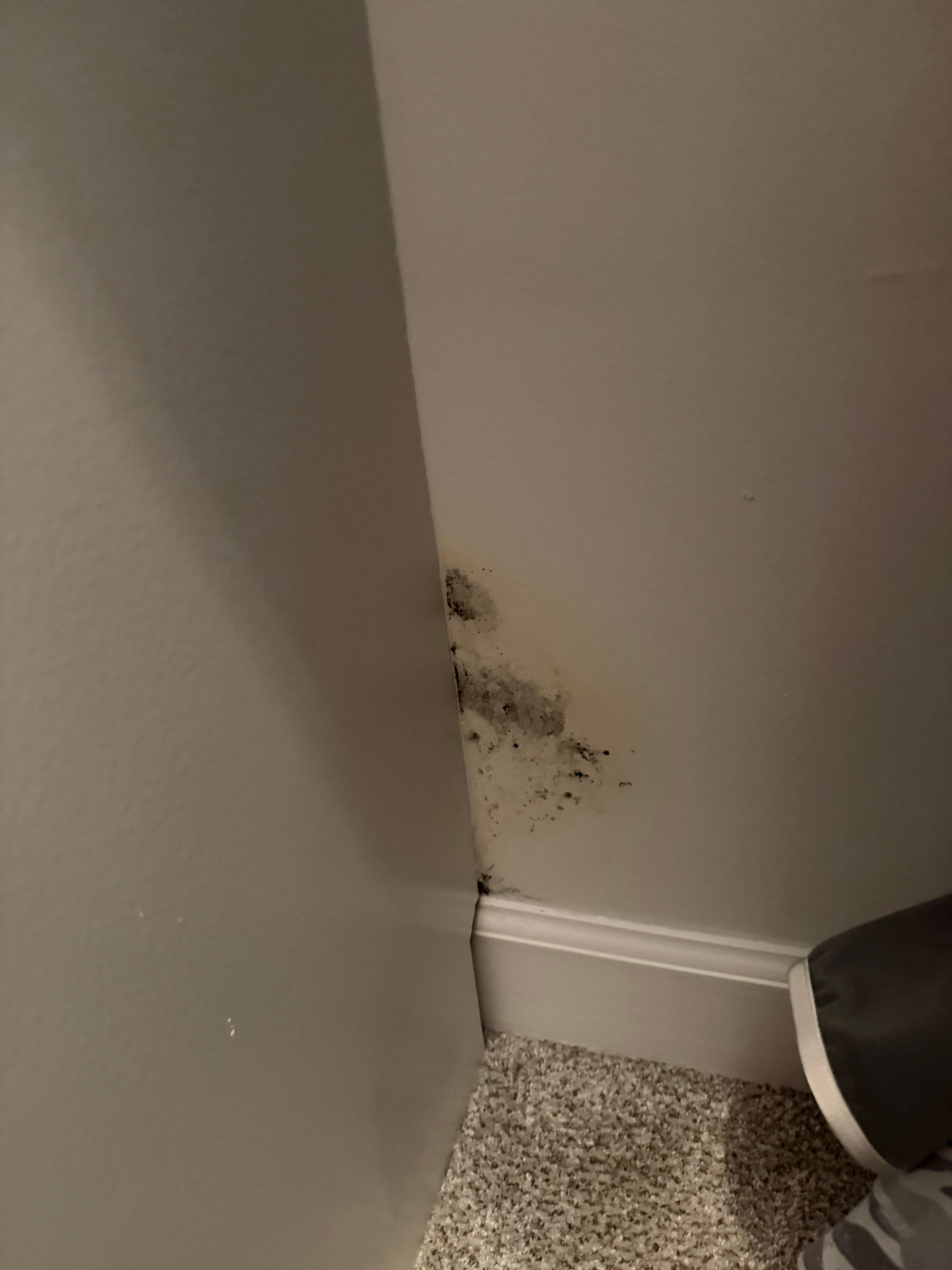 Master Closet Drywall Repair by Praise God Painting, LLC