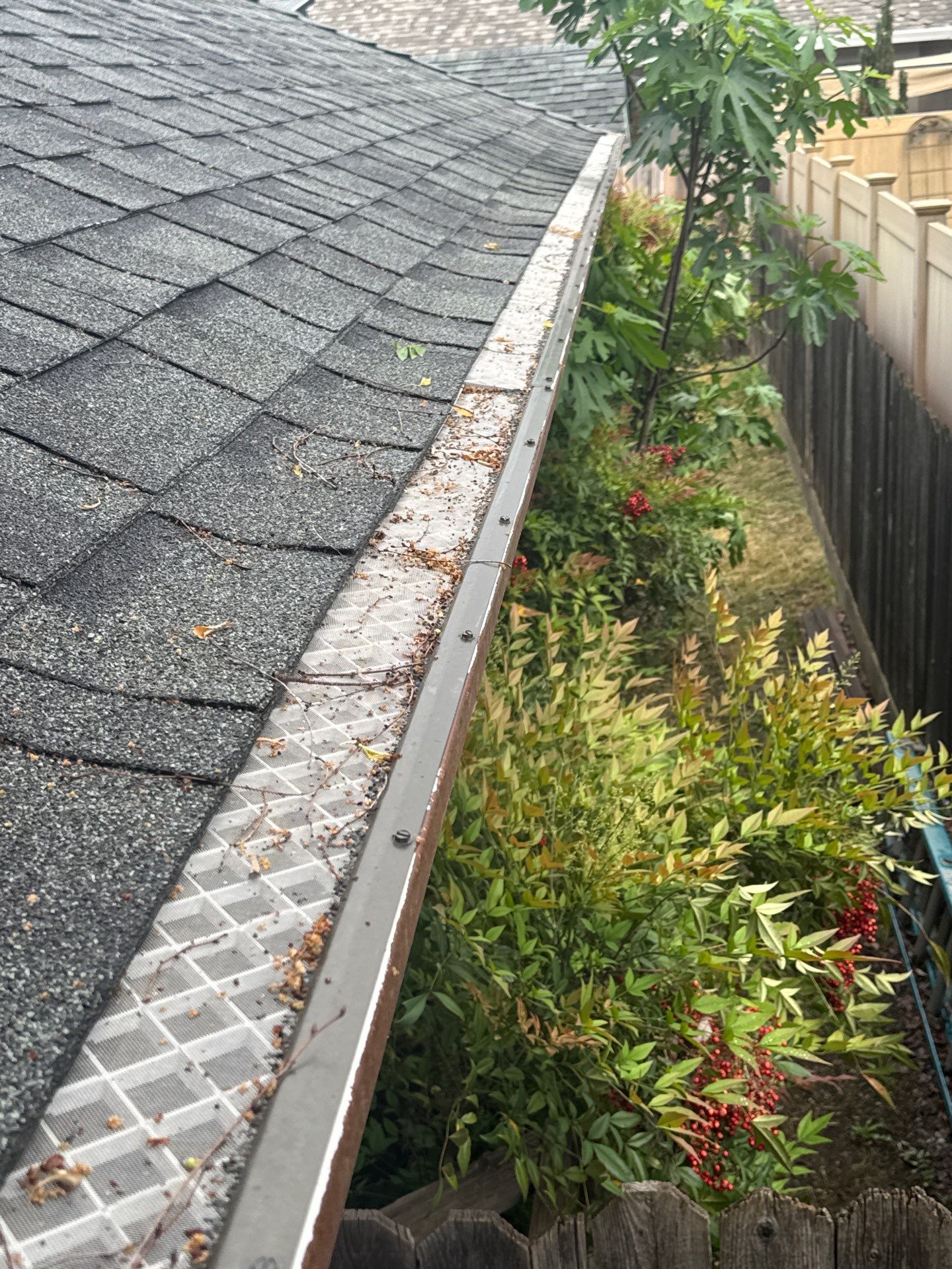 Roof Rejuvenation using Roof Maxx Treatment by Roof Maxx of Folsom