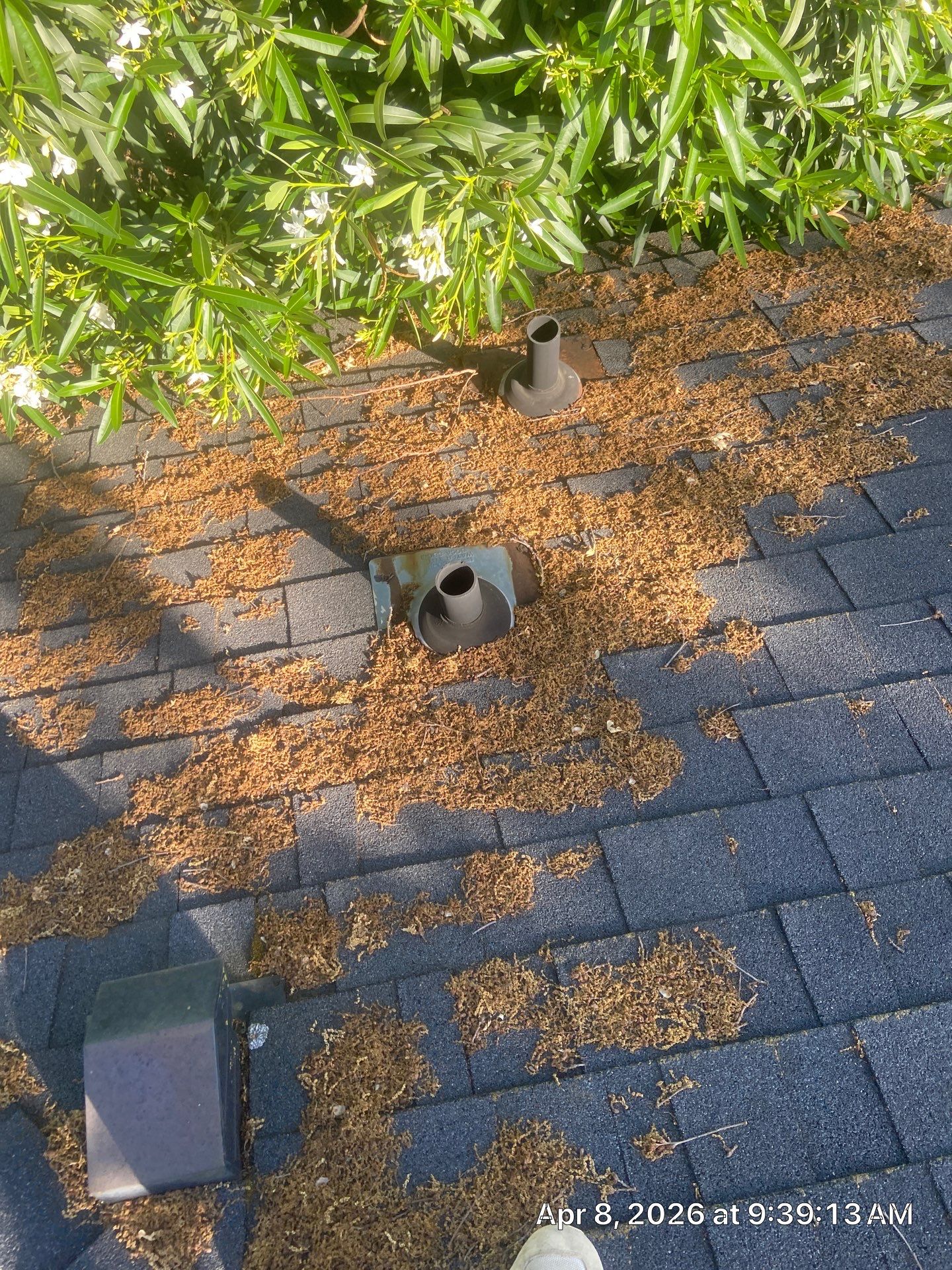 Roof Rejuvenation using Roof Maxx Treatment by Roof Maxx of Folsom