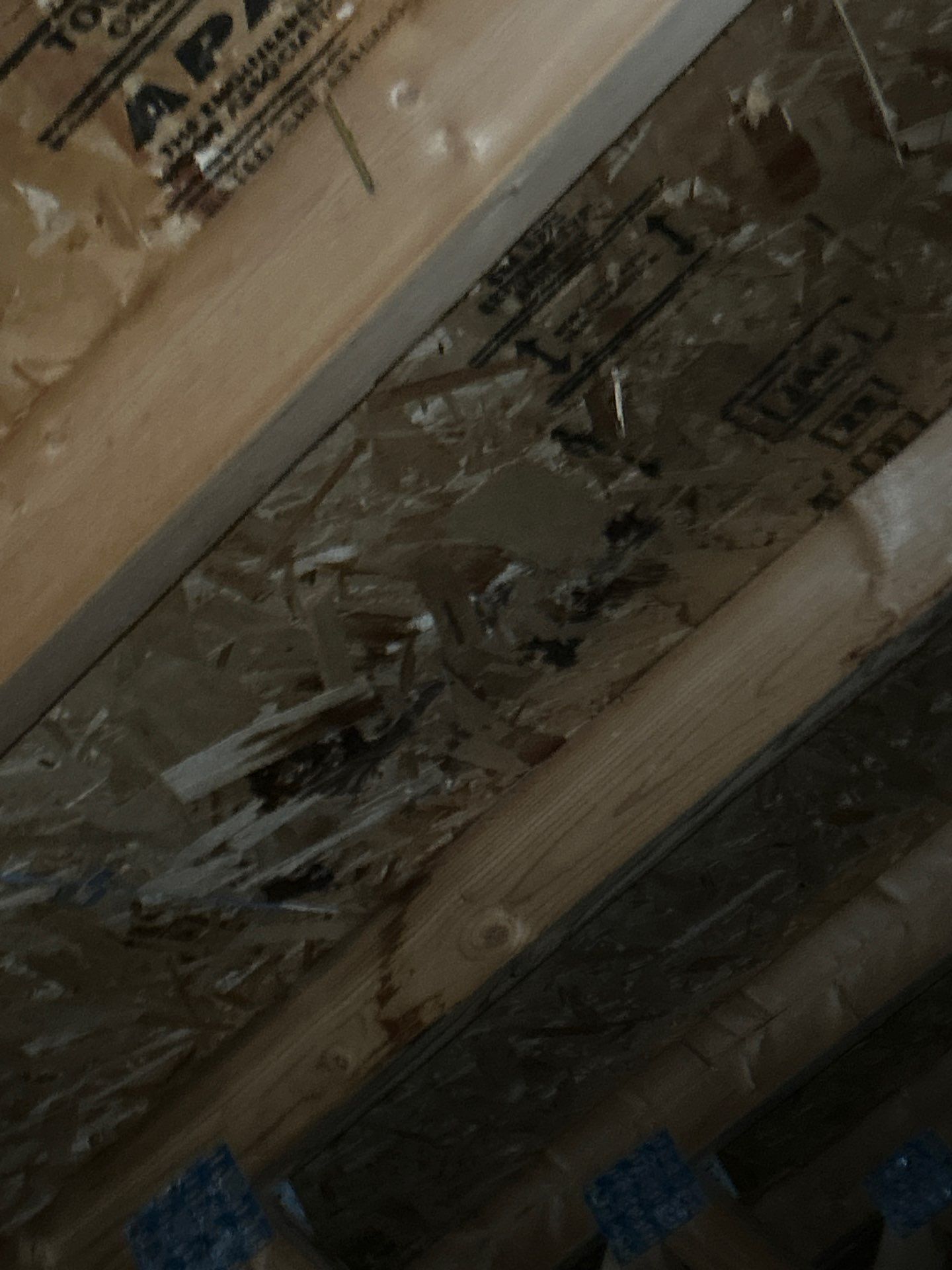 Project in Bellevue by Connolly Construction Company