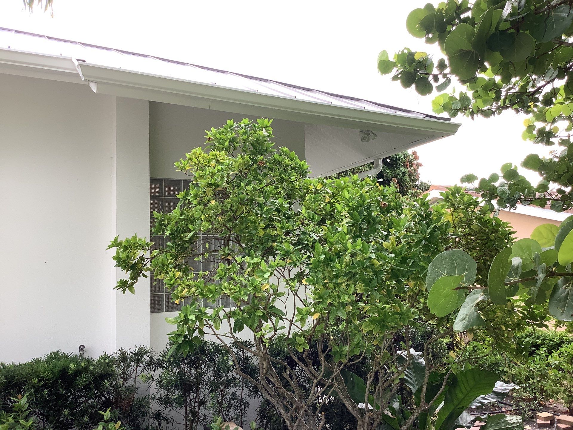 Splash Guard Gutters in  Longboat Key FL by Gutter Professors