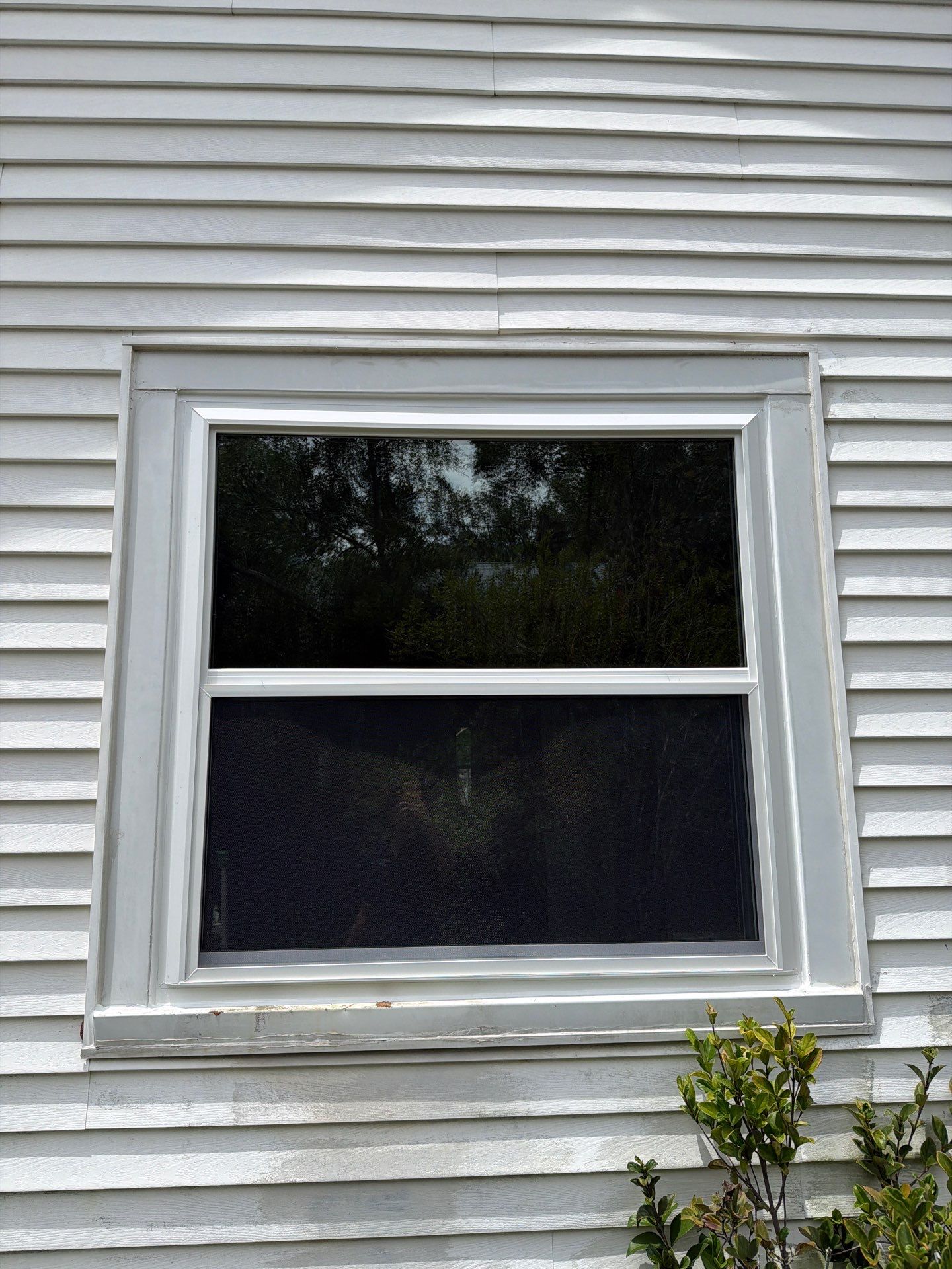 White Vinyl Window Replacement for Residential Home in Williston by Windows & Doors Store