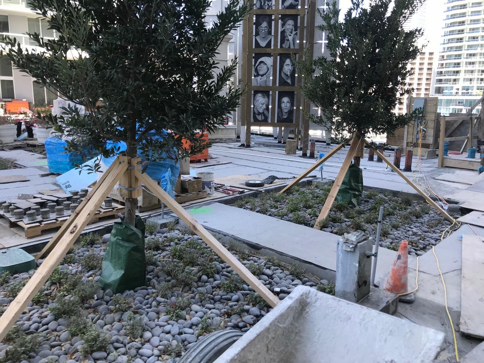 Exterior Reno by Flip Ninja