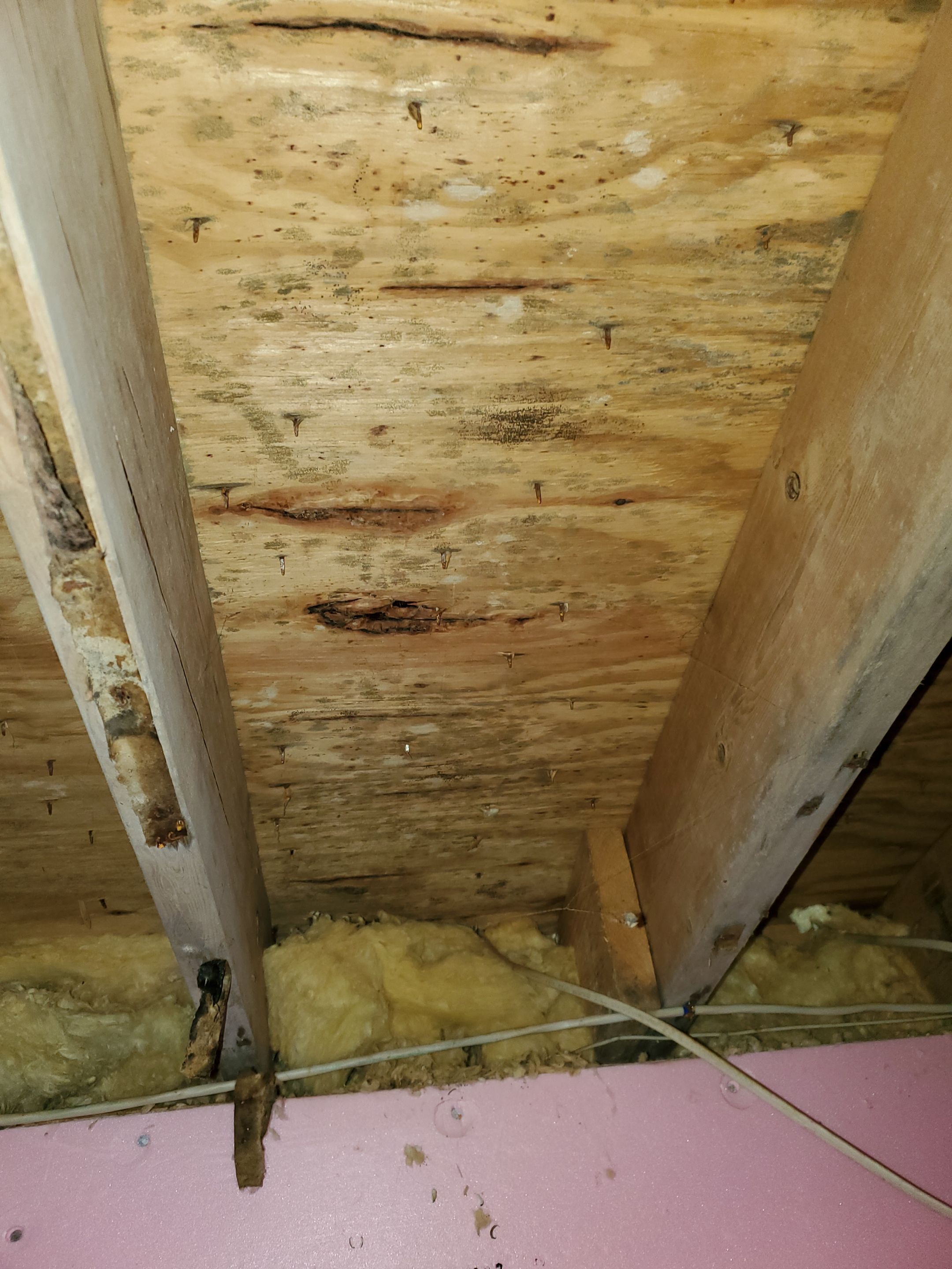 Crawlspace repair using cleanspace by Burke Home Services