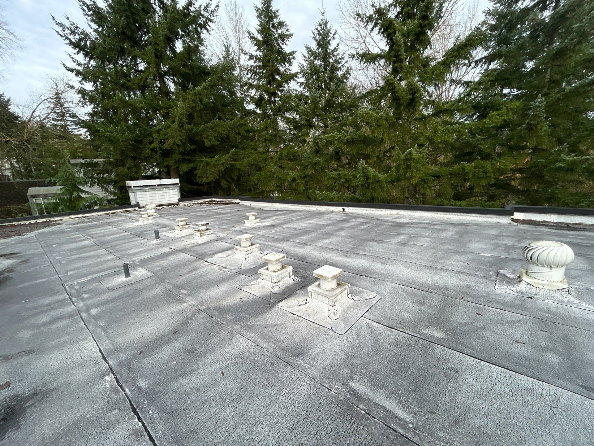 Project in Kirkland by Connolly Construction Company