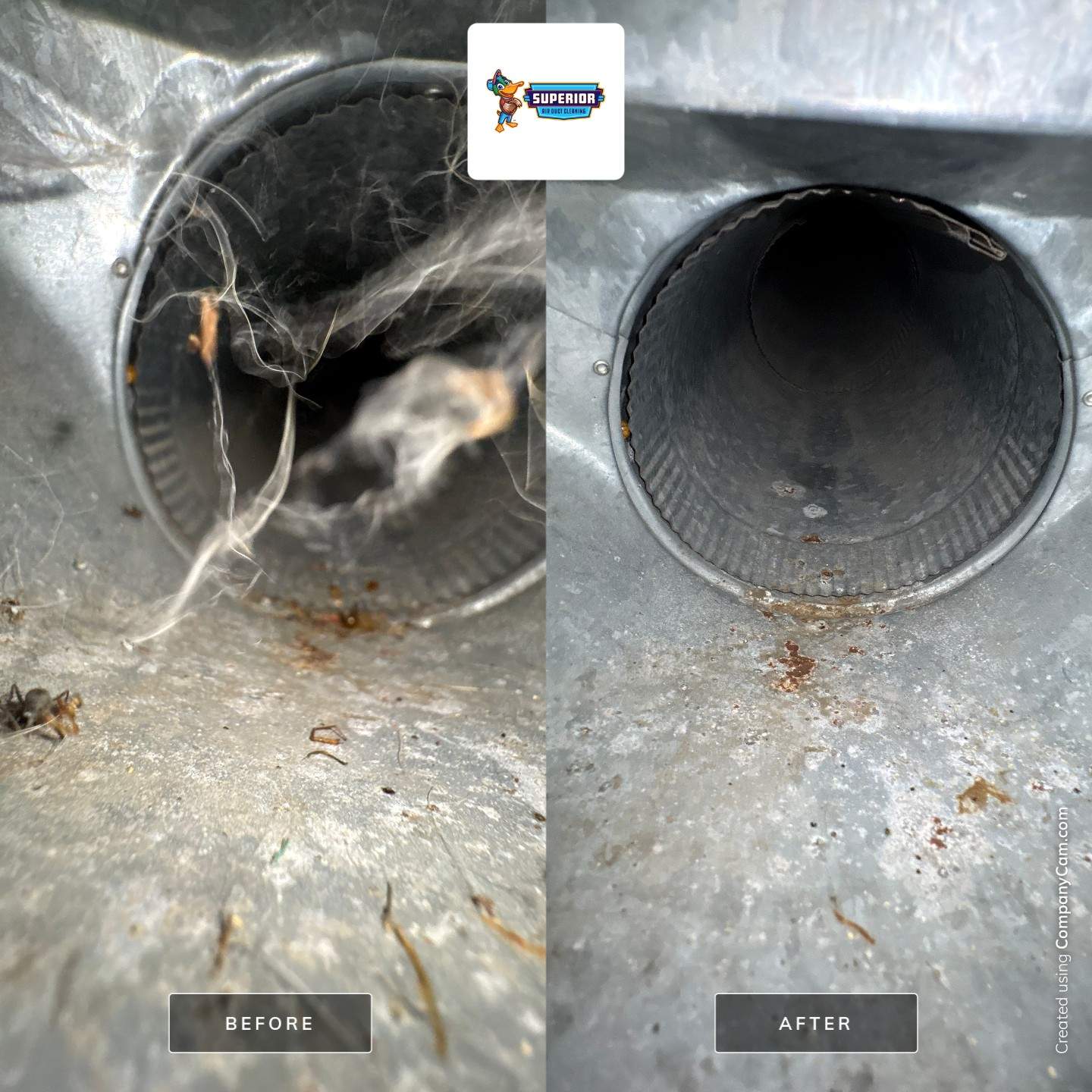 Comprehensive HVAC Air Duct System Cleaning for a Georgetown Home by Superior Air Duct Cleaning