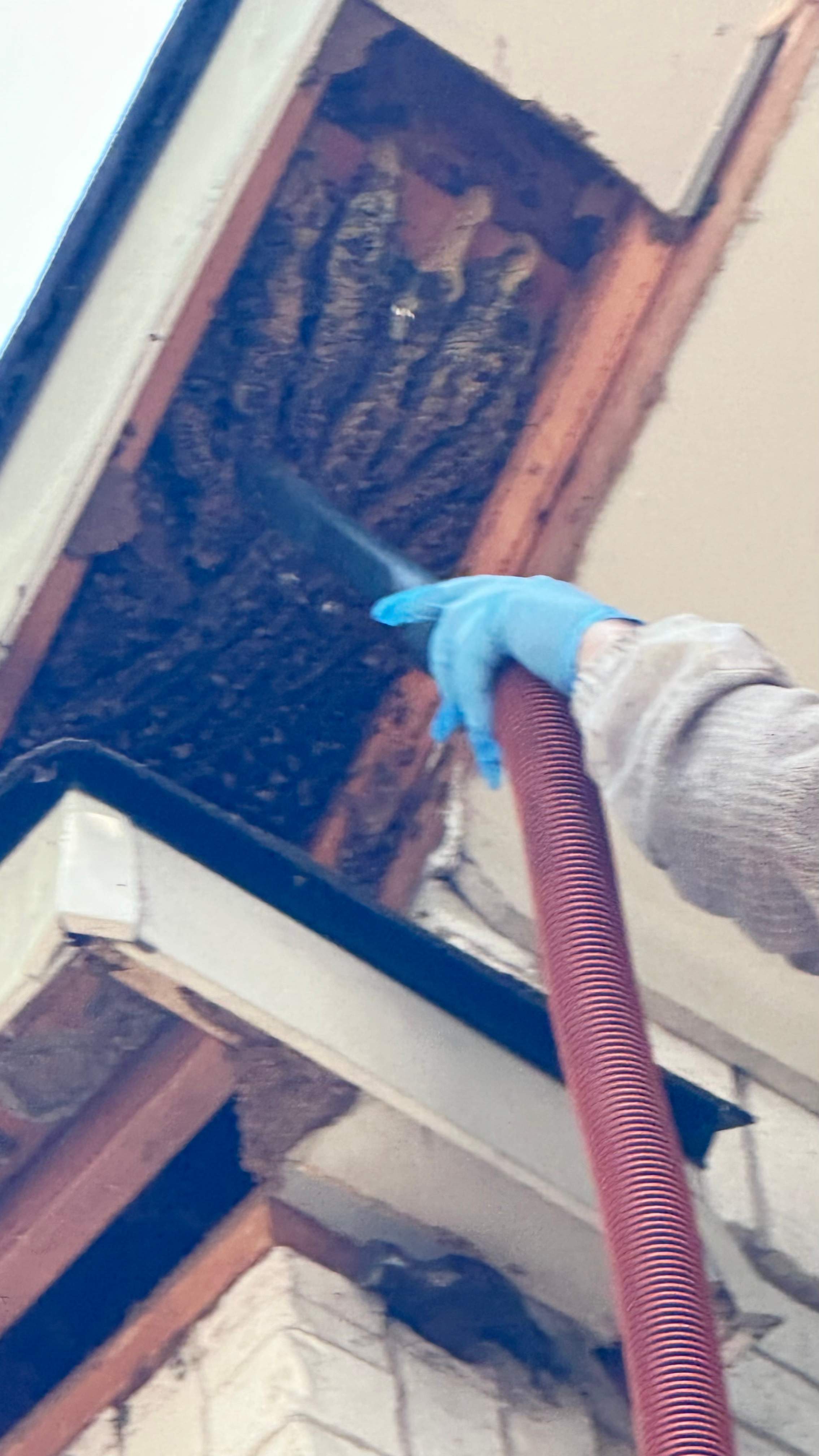 Tall Soffit by Rockwall Honey Bee Company