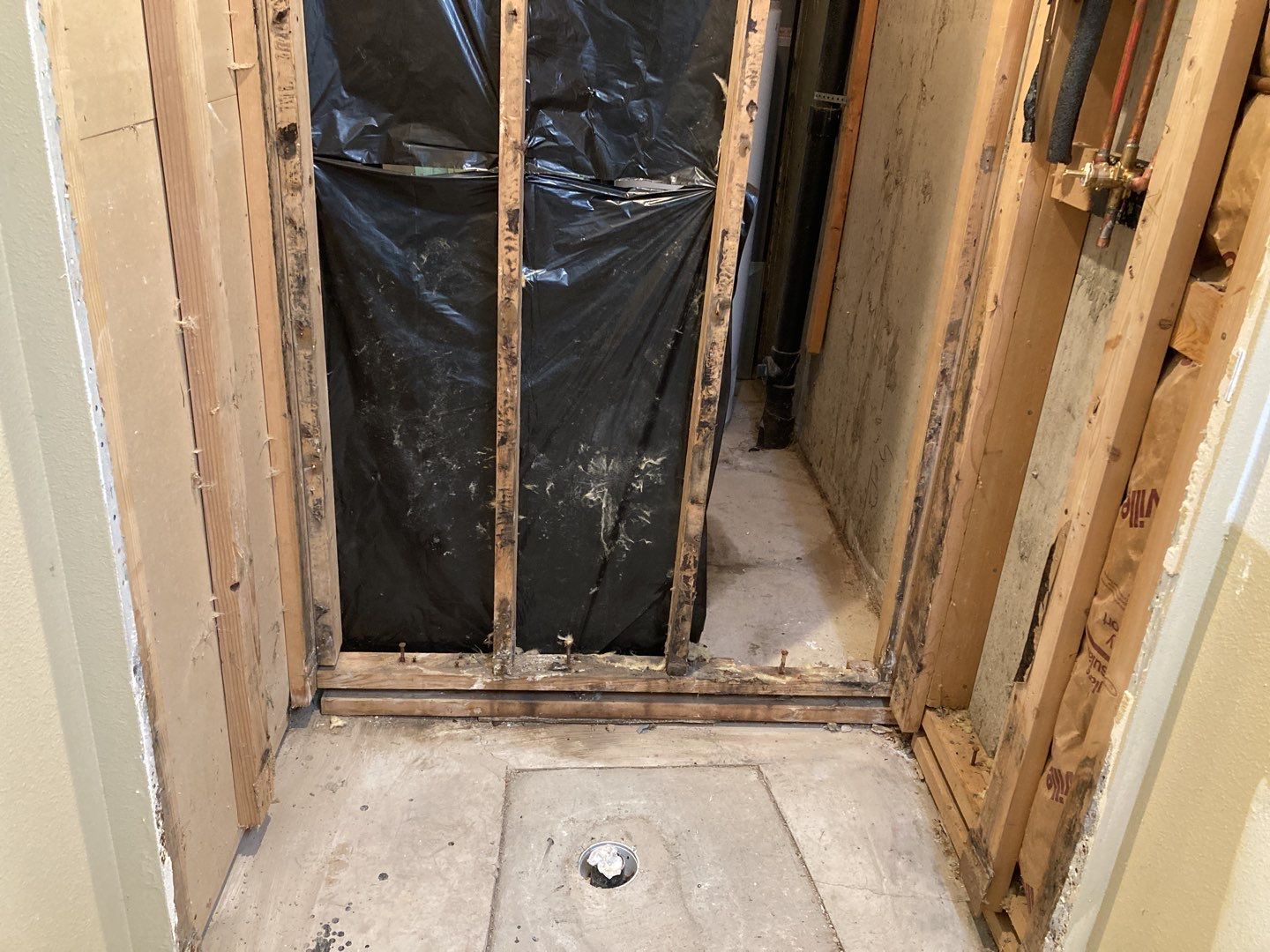 Mold Remediation by Accountable Home Services