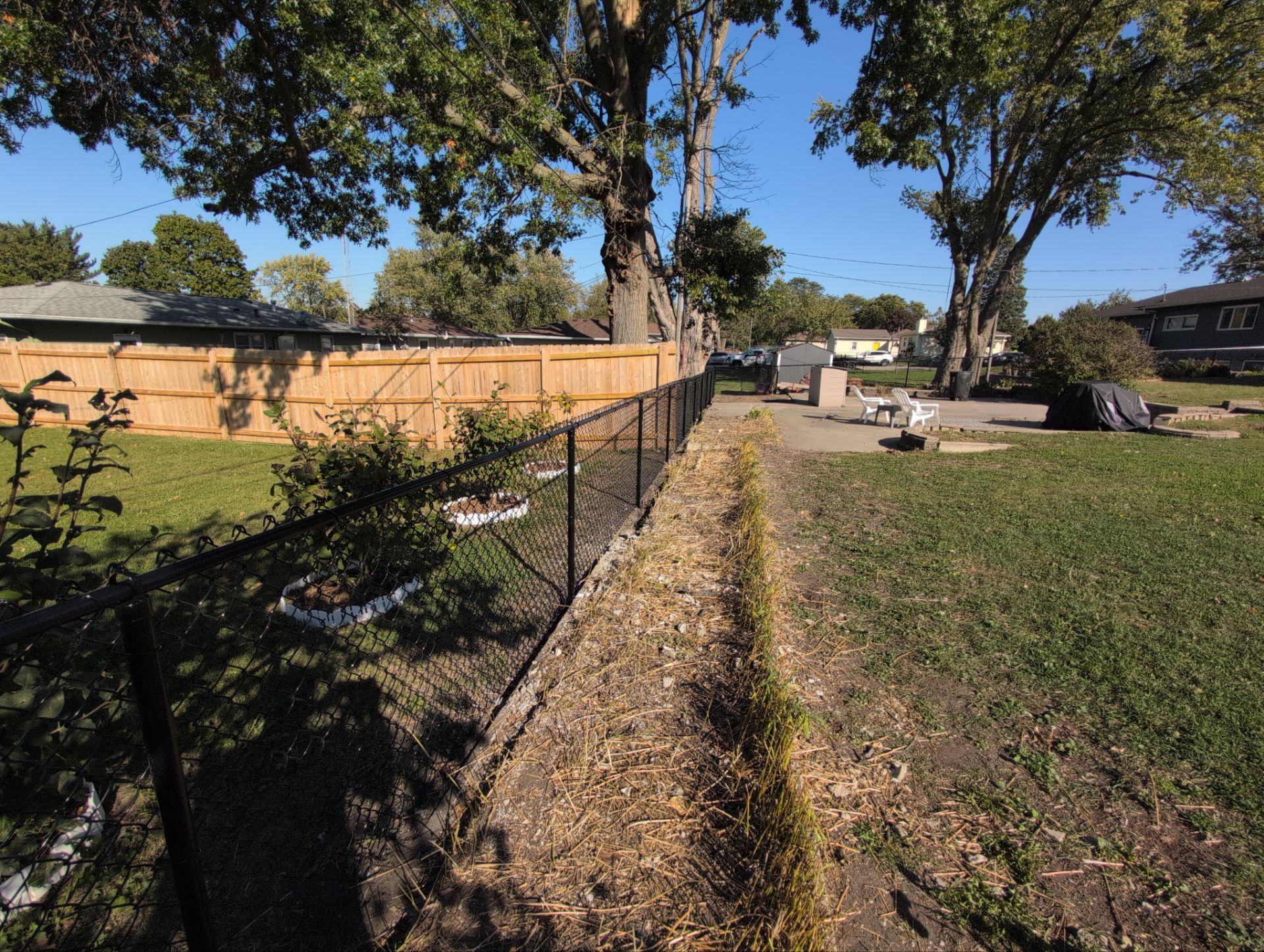 Black Chain Link Fence Installation for Waterloo Residential Property by Perfect Picket Fence and Stain
