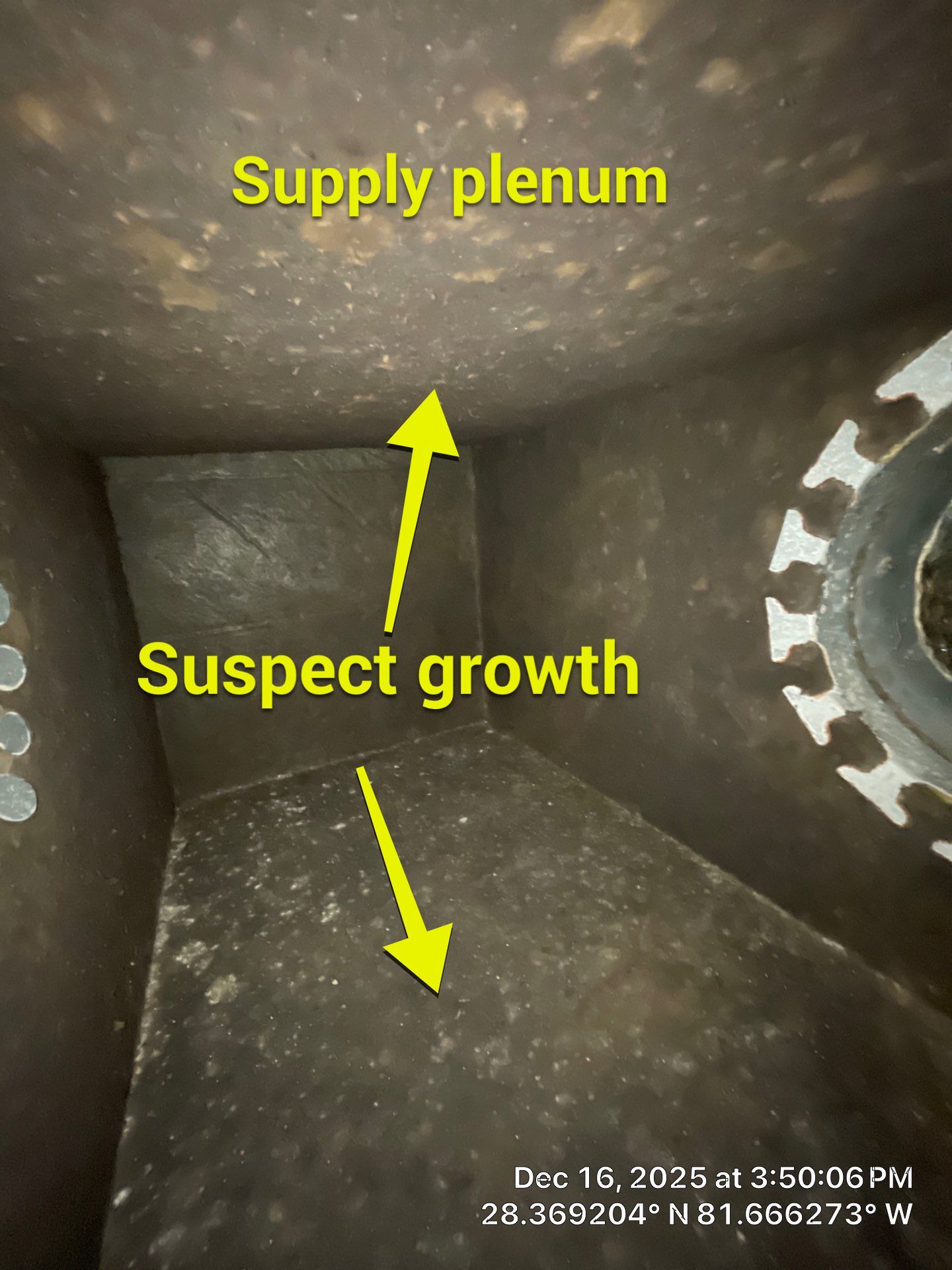 Air Duct Cleaning Encapsulation in Clermont by Hygienic Air, Inc