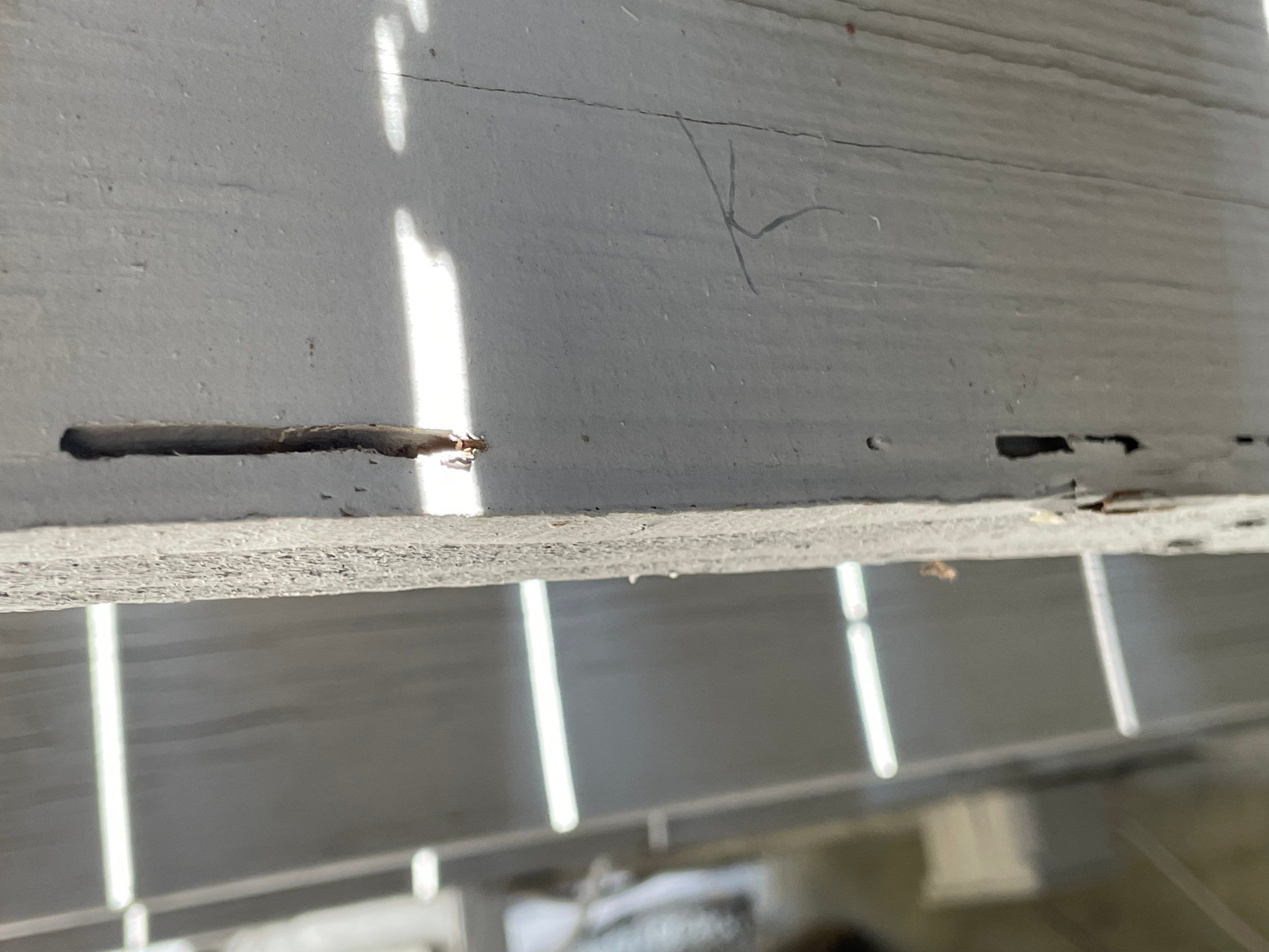 Wood Destroying Organisms Report by GLOBAL Termite Solutions