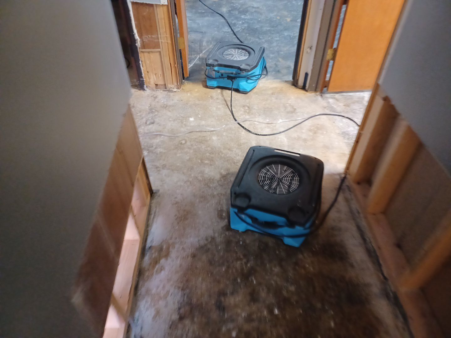 Project in Royal Oak by EzDry Water Mitigation & Property Restoration