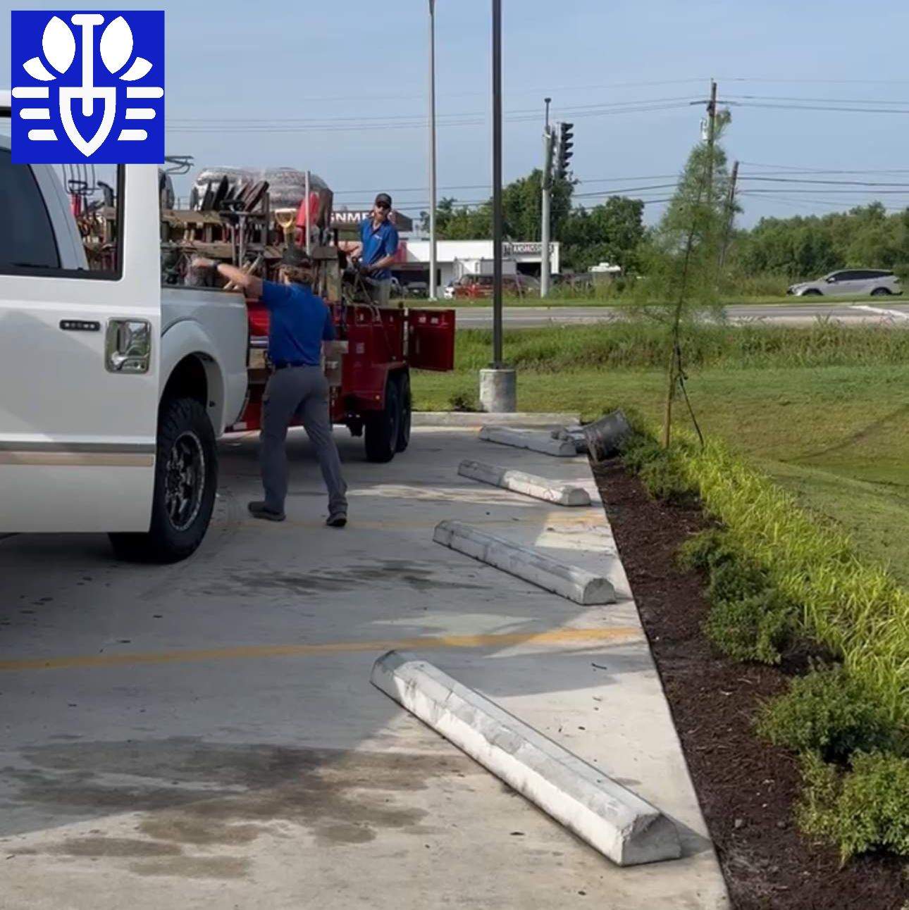 COMMERCIAL LAWN MAINTENANCE: HEDGE TRIM / BED CLEAN / MULCH INSTALL using BROWN MULCH "BARK BRITE" by CutScape, LLC.