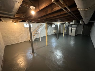 Basement Mold Remediation