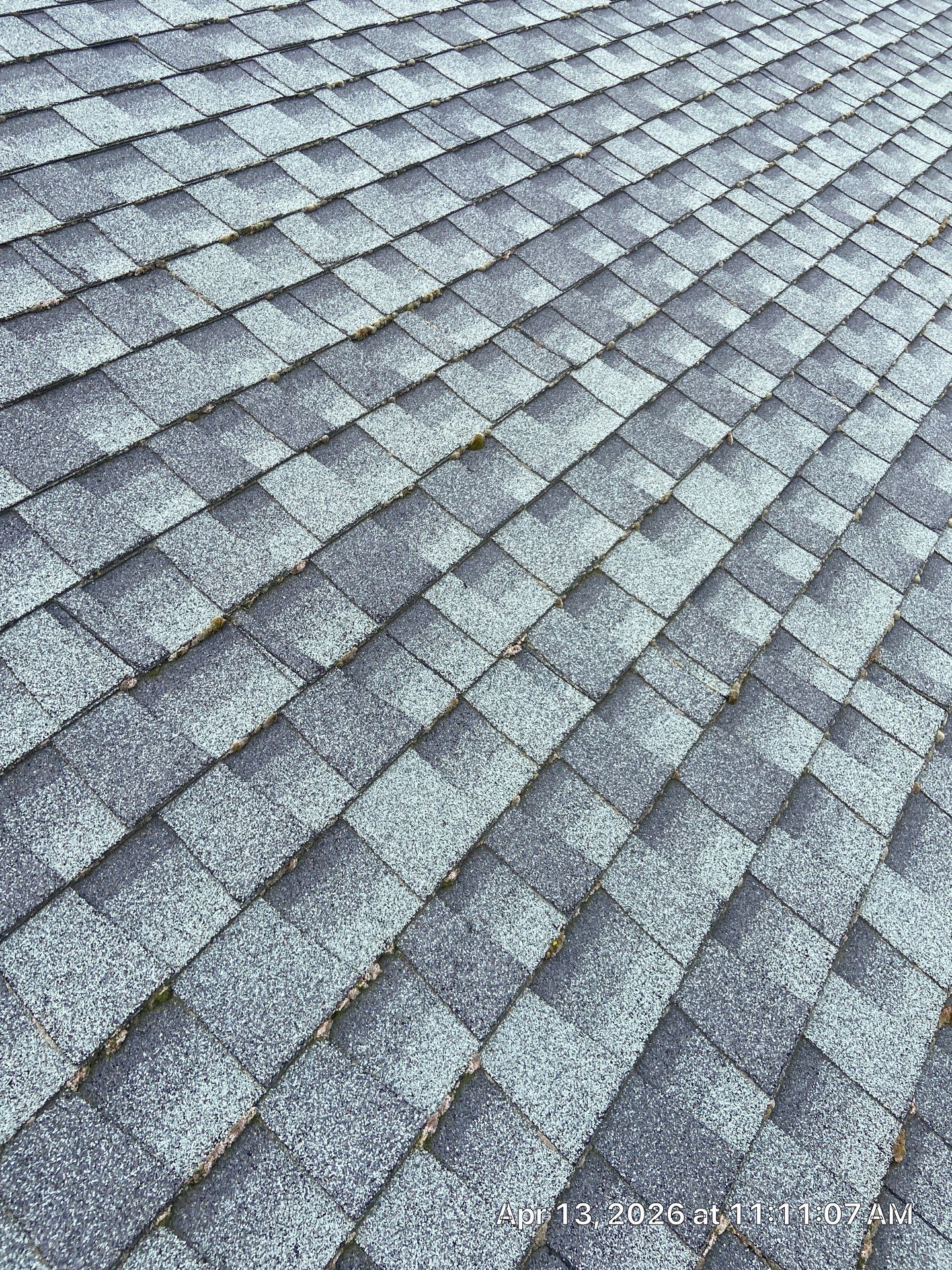 Roof Rejuvenation using Roof Maxx Treatment by Roof Maxx of Folsom