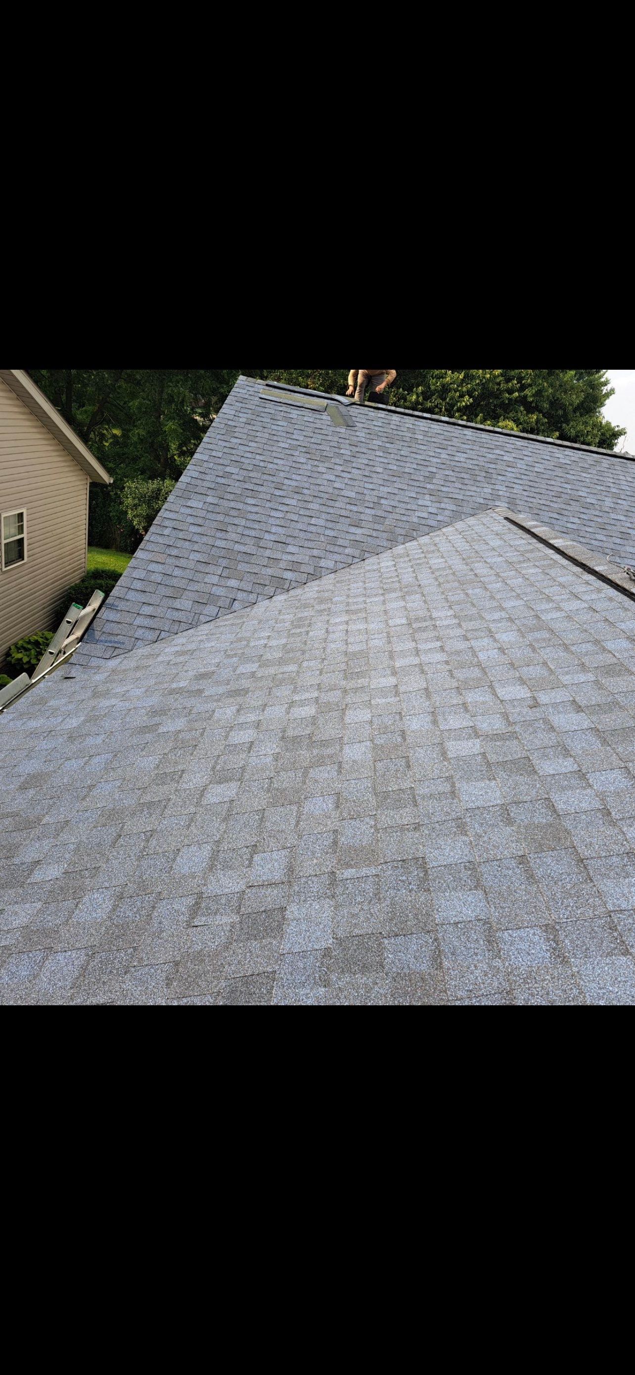 Gloria Dillon by Silver Leaf Contracting 