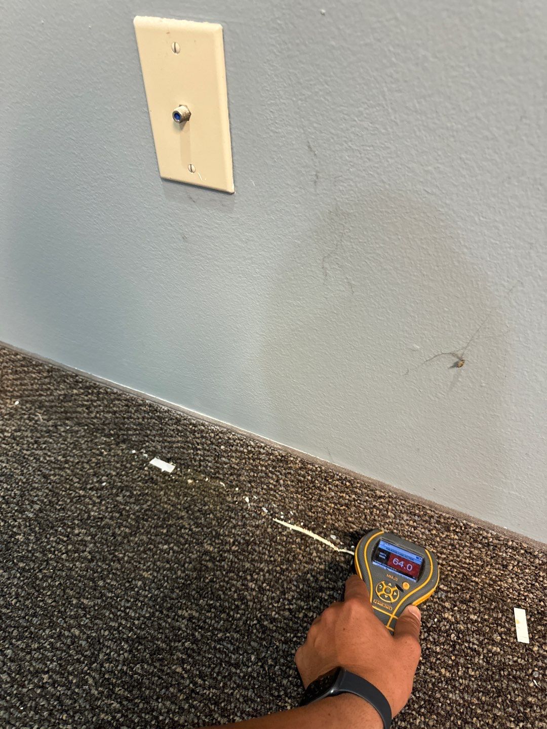 Project in Ann Arbor by EzDry Water Mitigation & Property Restoration