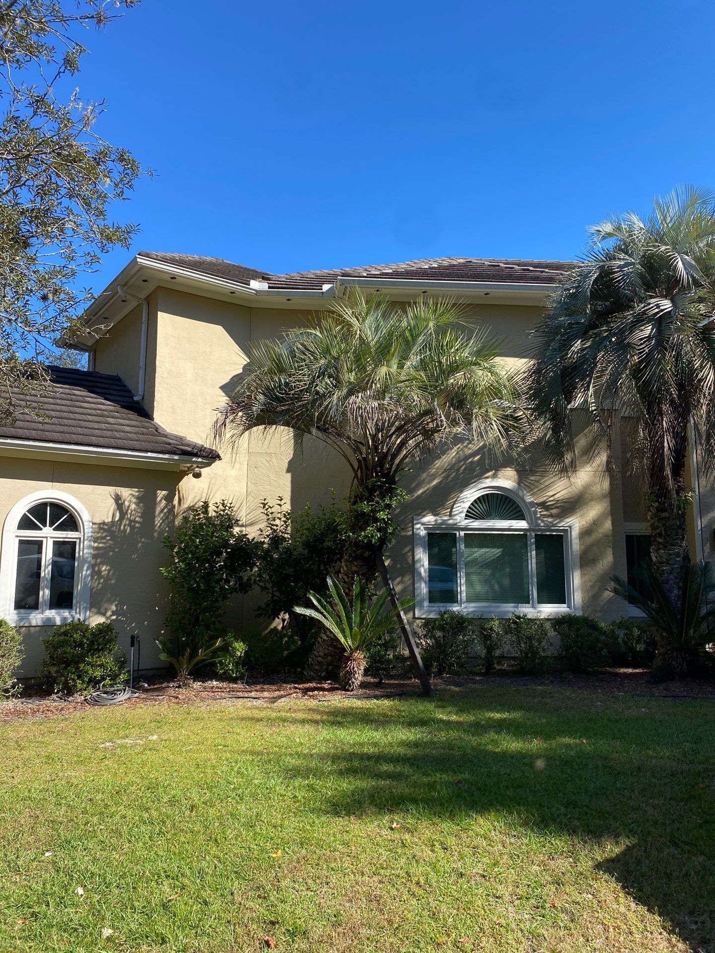 Deerwood Residence | Tree Work by ProGreen Services