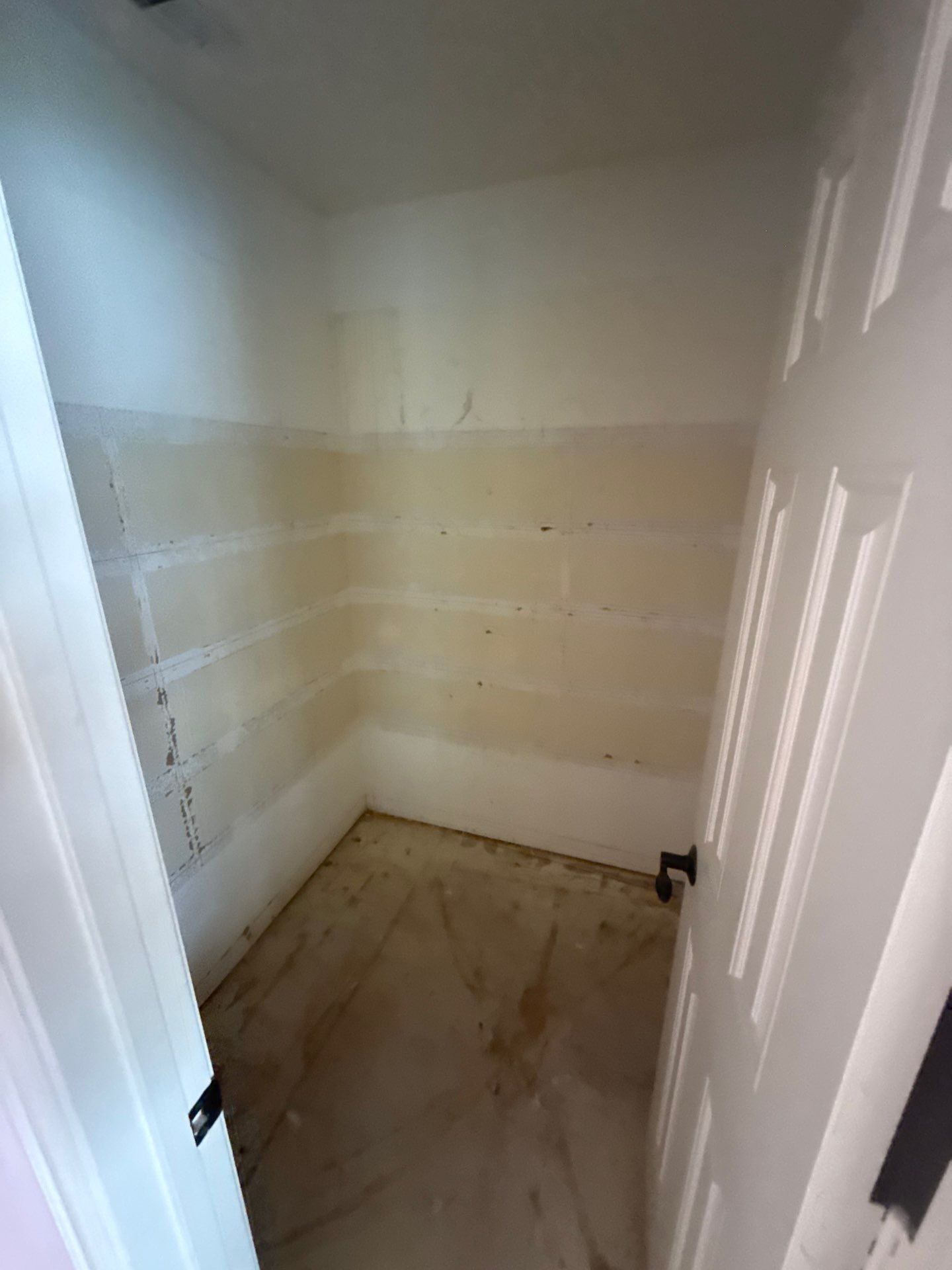 The DeSaro Family by SophAlx LLC