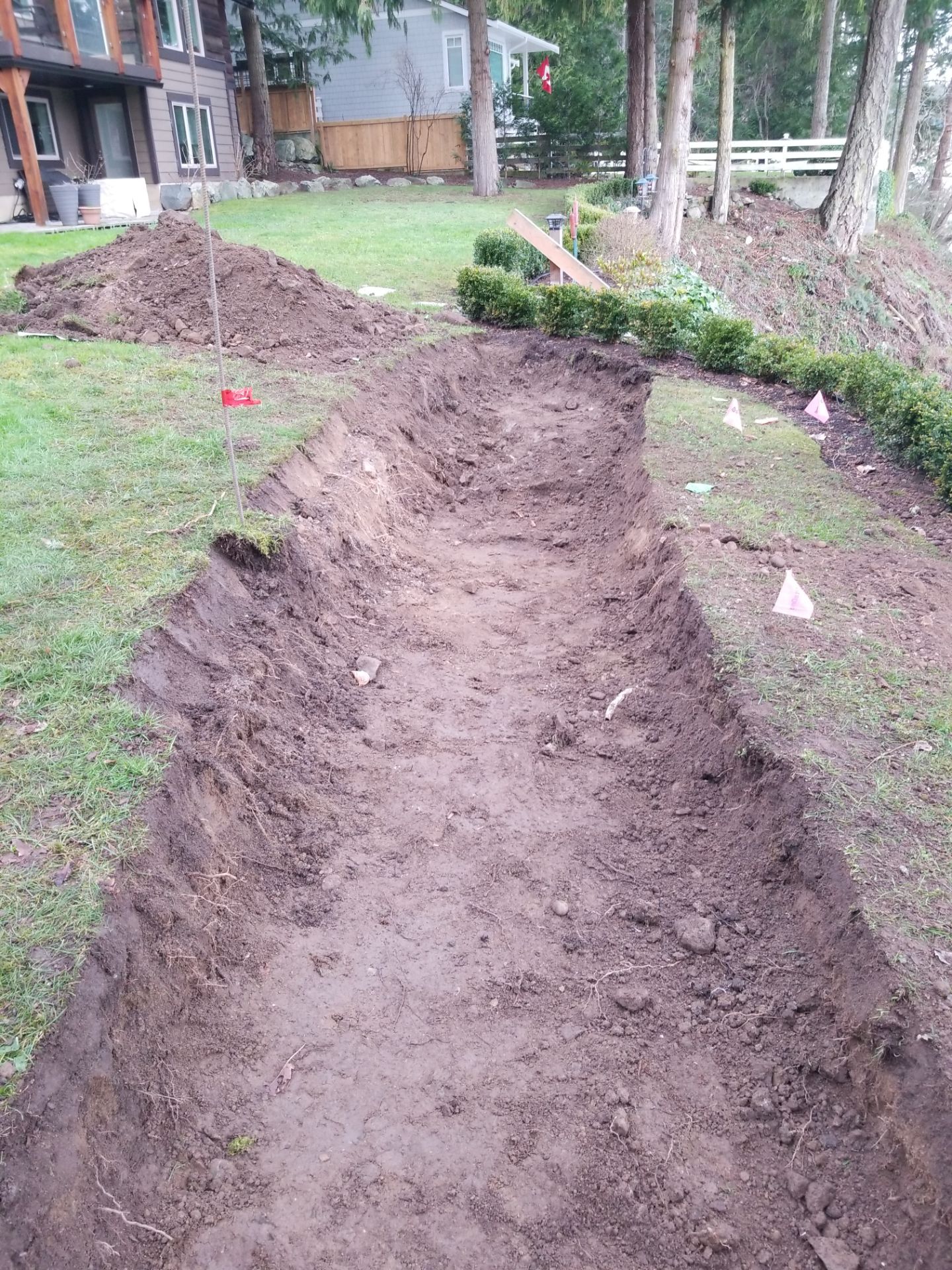 Coastal Landscape Restoration & Retaining Structure - In progress by Habanero Garden and Exterior Care