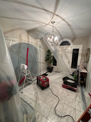 Emergency Service Mold Concern