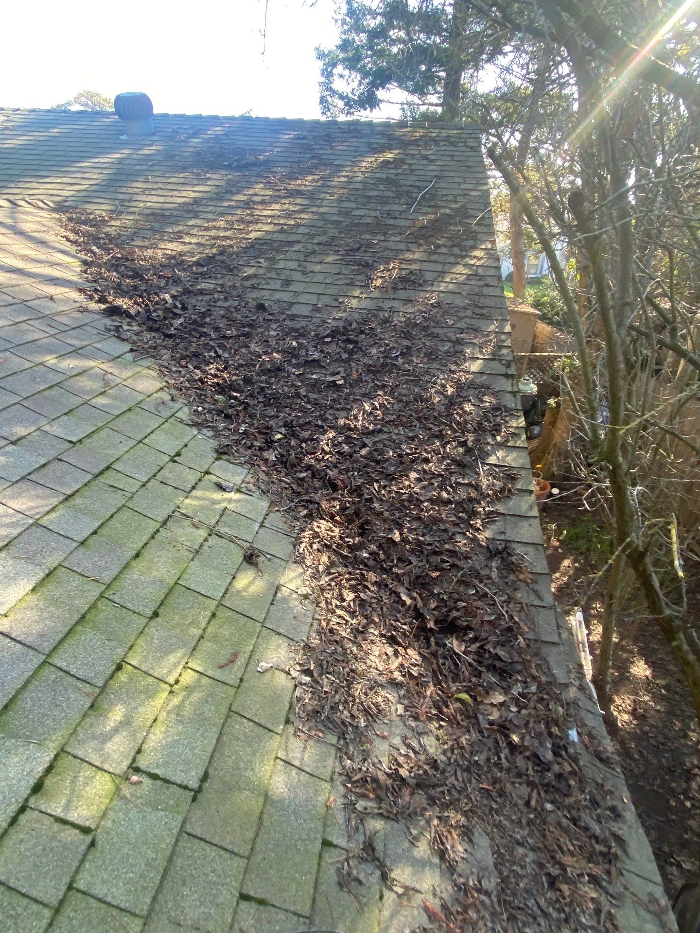 Roof Rejuvenation using Roof Maxx Treatment by Roof Maxx of Folsom