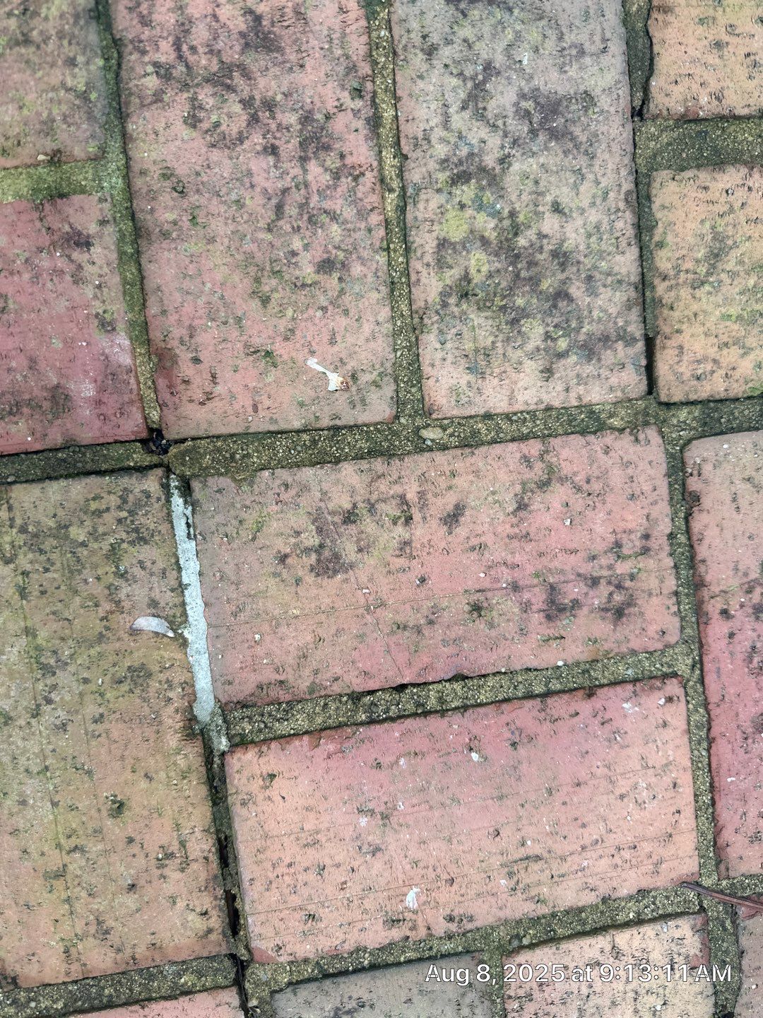 paver patio using Concrete Sealant by DuraSeal