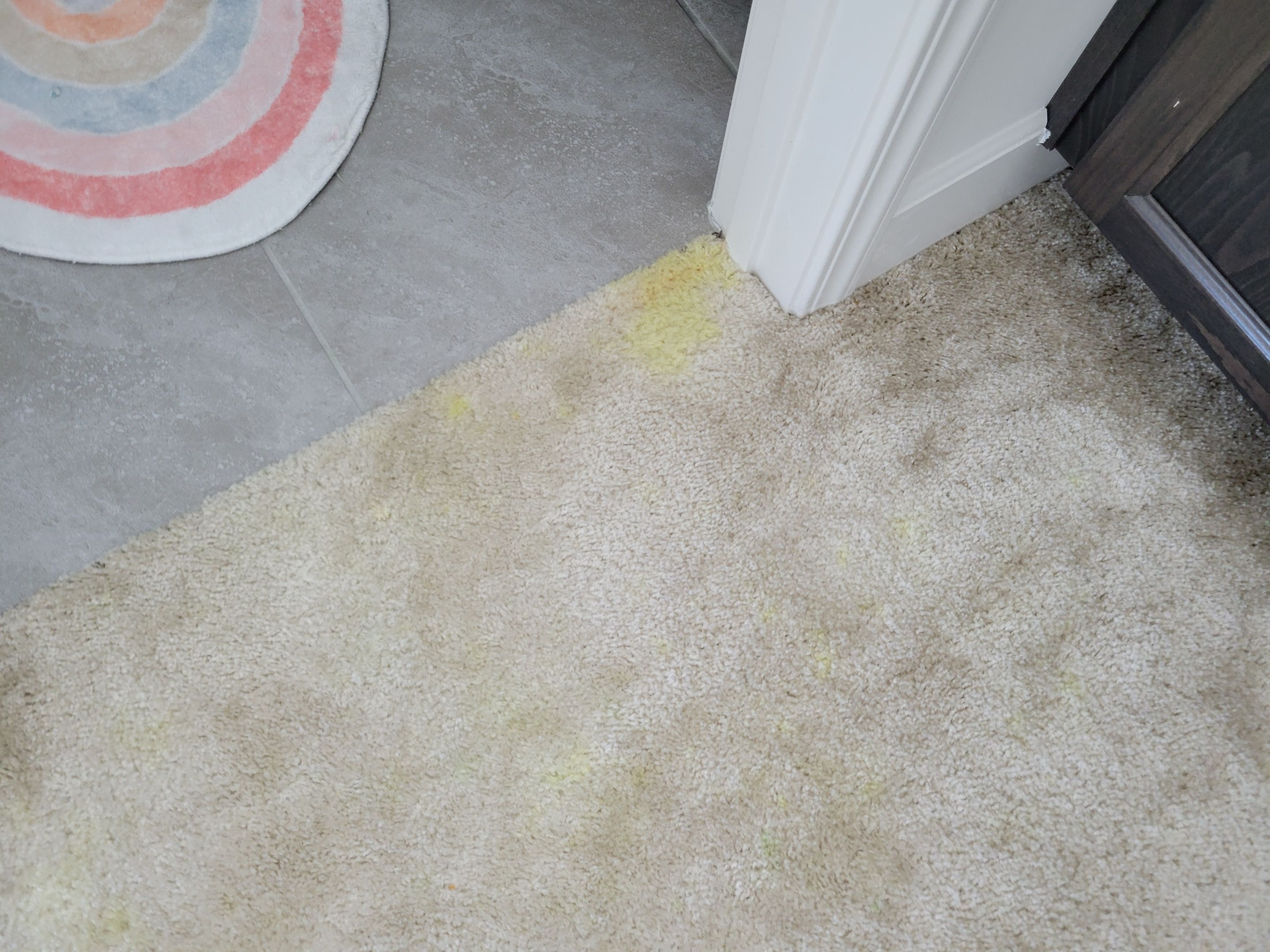Carpet Repair of Paint, Stain & Bleach by Ardent Carpet Restore LLC