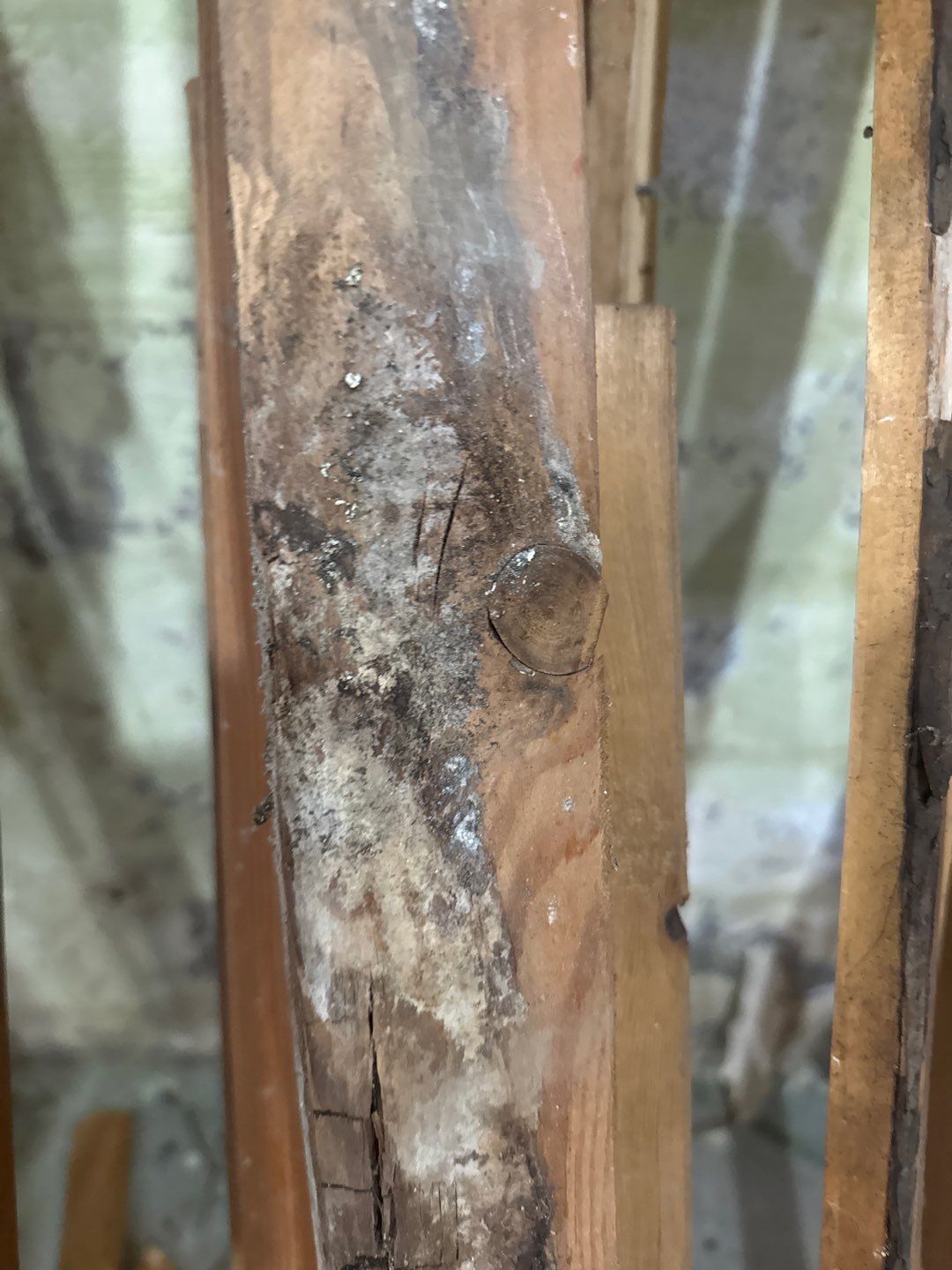 Post‑Remediation Clearance Test & Corrective Mold Remediation, Dover, DE. by Healthy Home Solutions