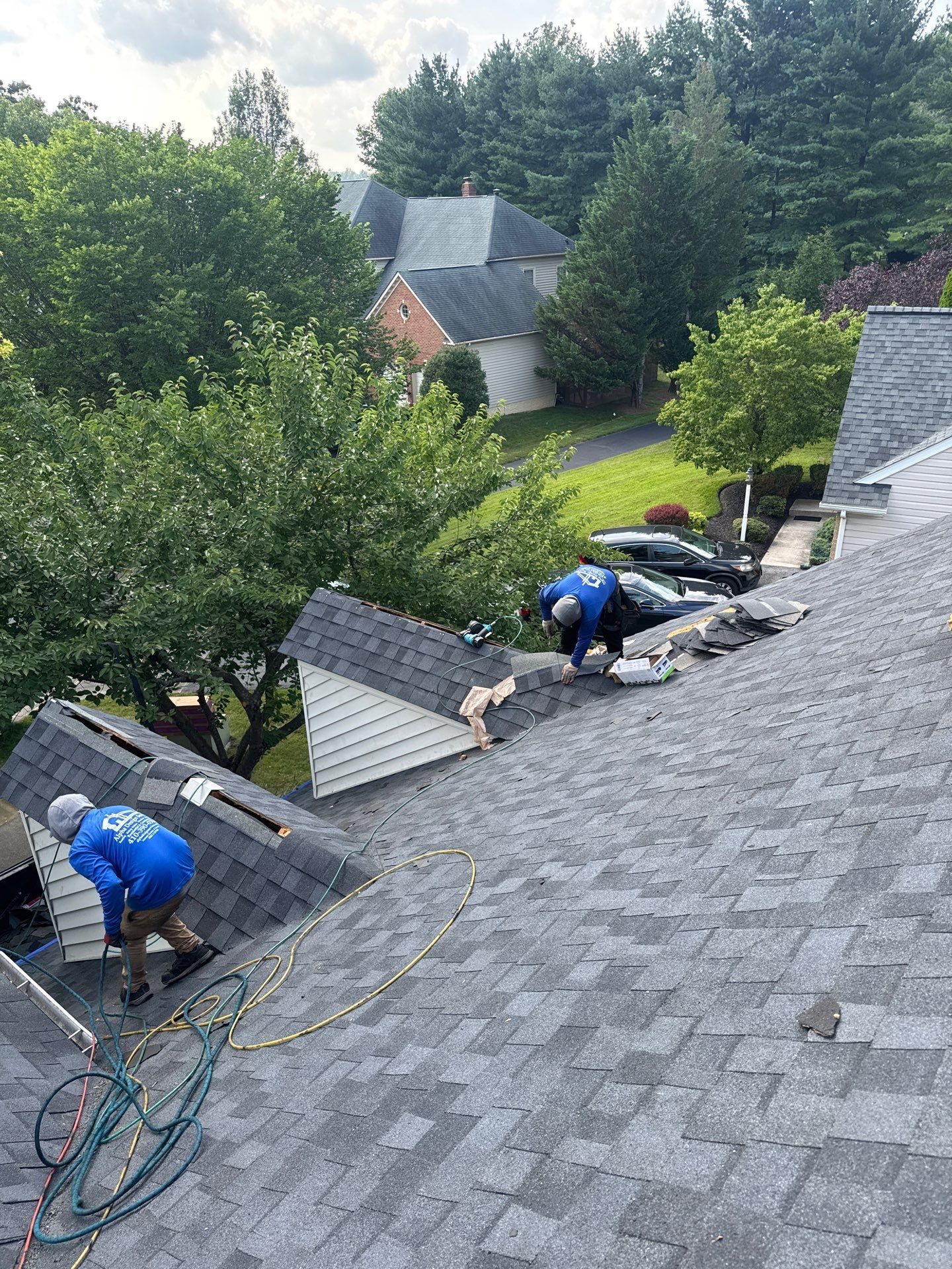 New Shingle Roof & New Gutters and downspouts with covers by Alpha Design Services