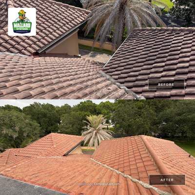 Residential Roof Cleaning in Windermere