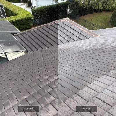 Flat Tile Roof Cleaning