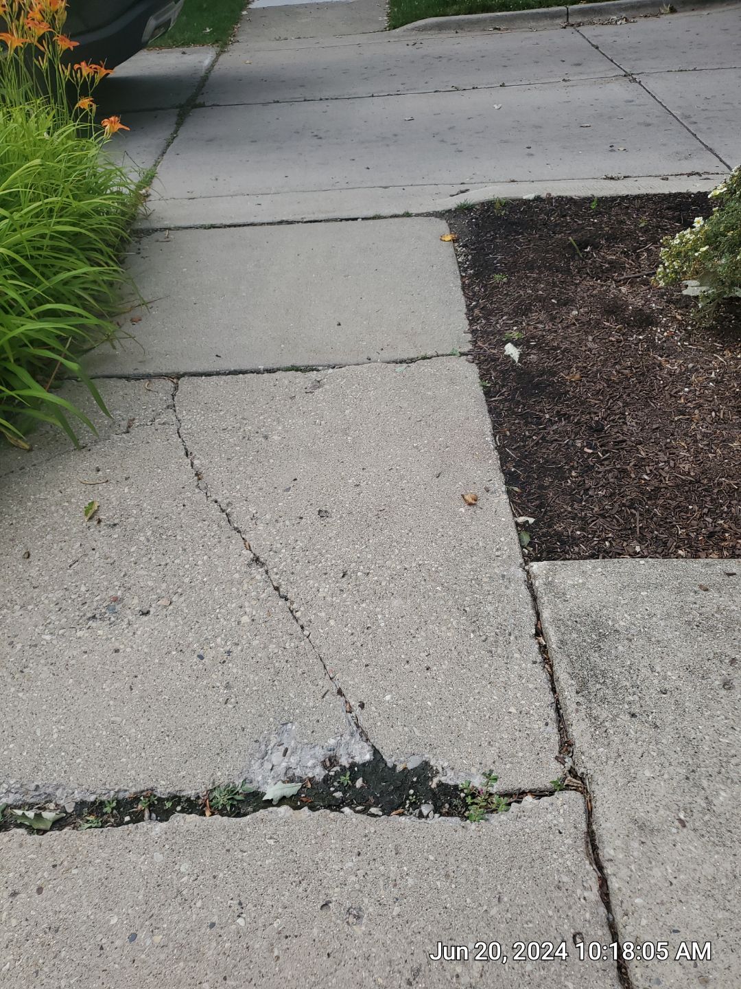 concrete cleaning using Algaecide, soft wash soap by Northern Power Washing LLC.