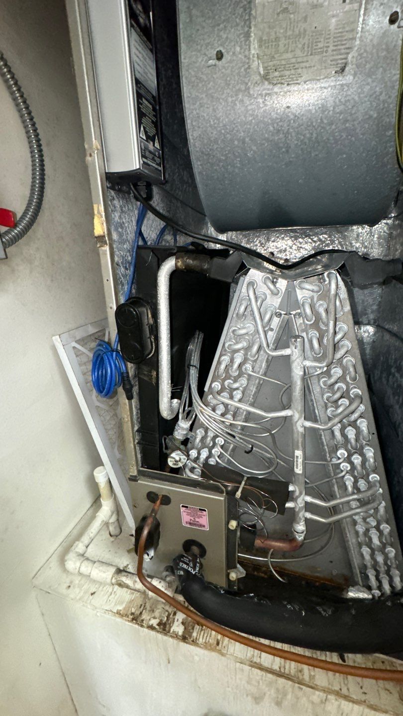 Commercial Air Duct Cleaning in Tavares by Hygienic Air, Inc