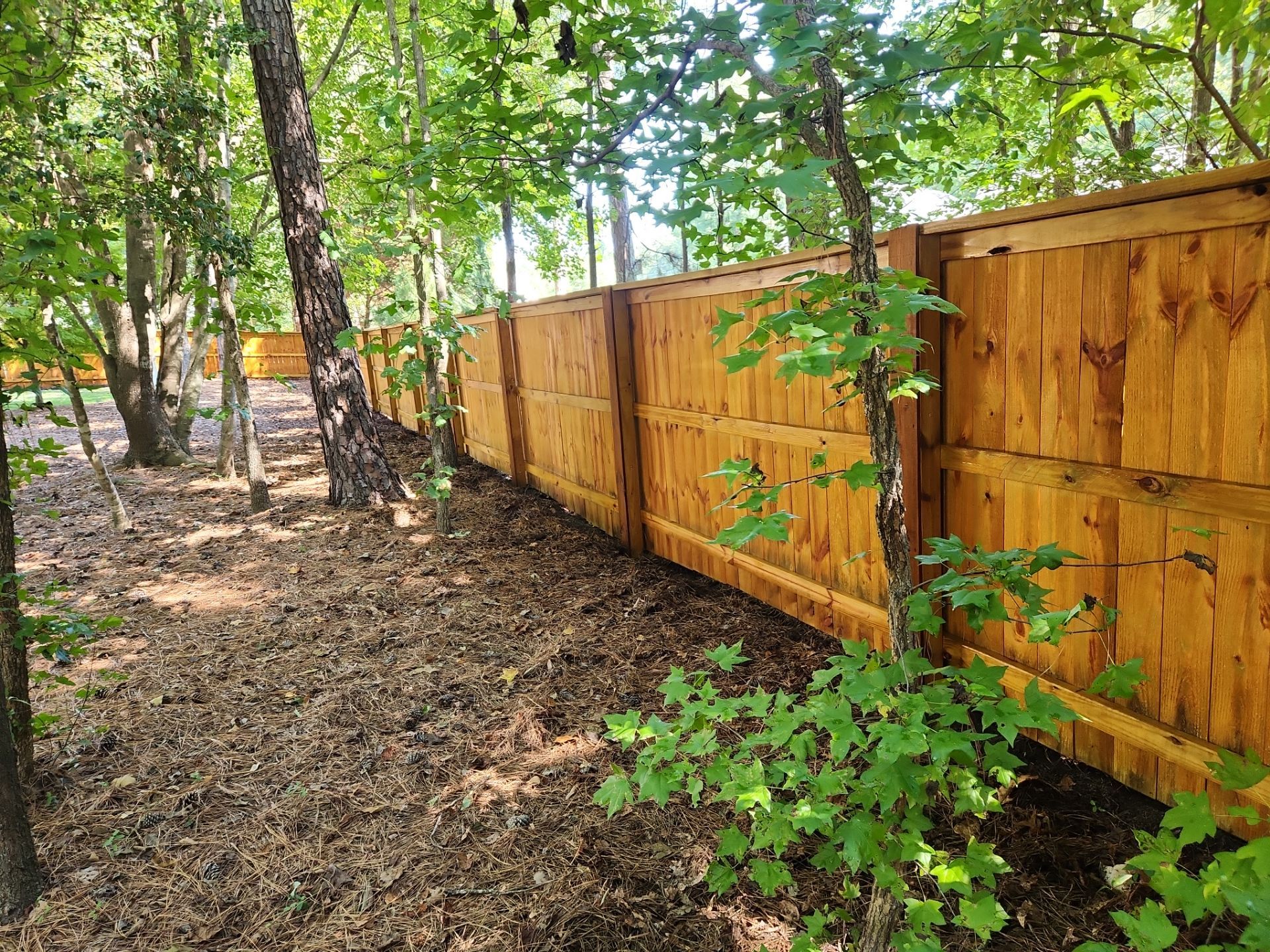 Fence using Wood Sealant by DuraSeal