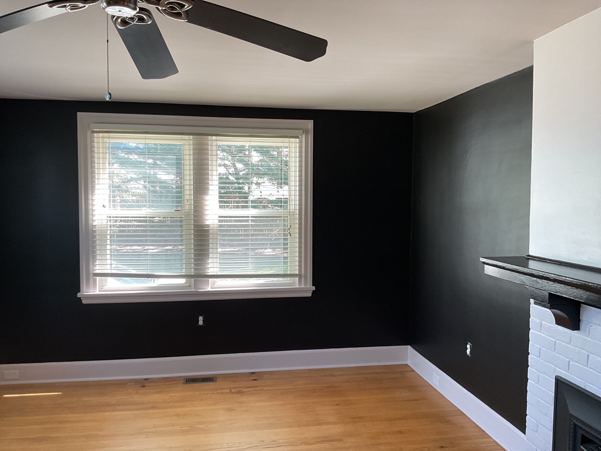 🖤 Moody Meets Warm: A Color-Forward Transformation in Abington by Groovy Hues