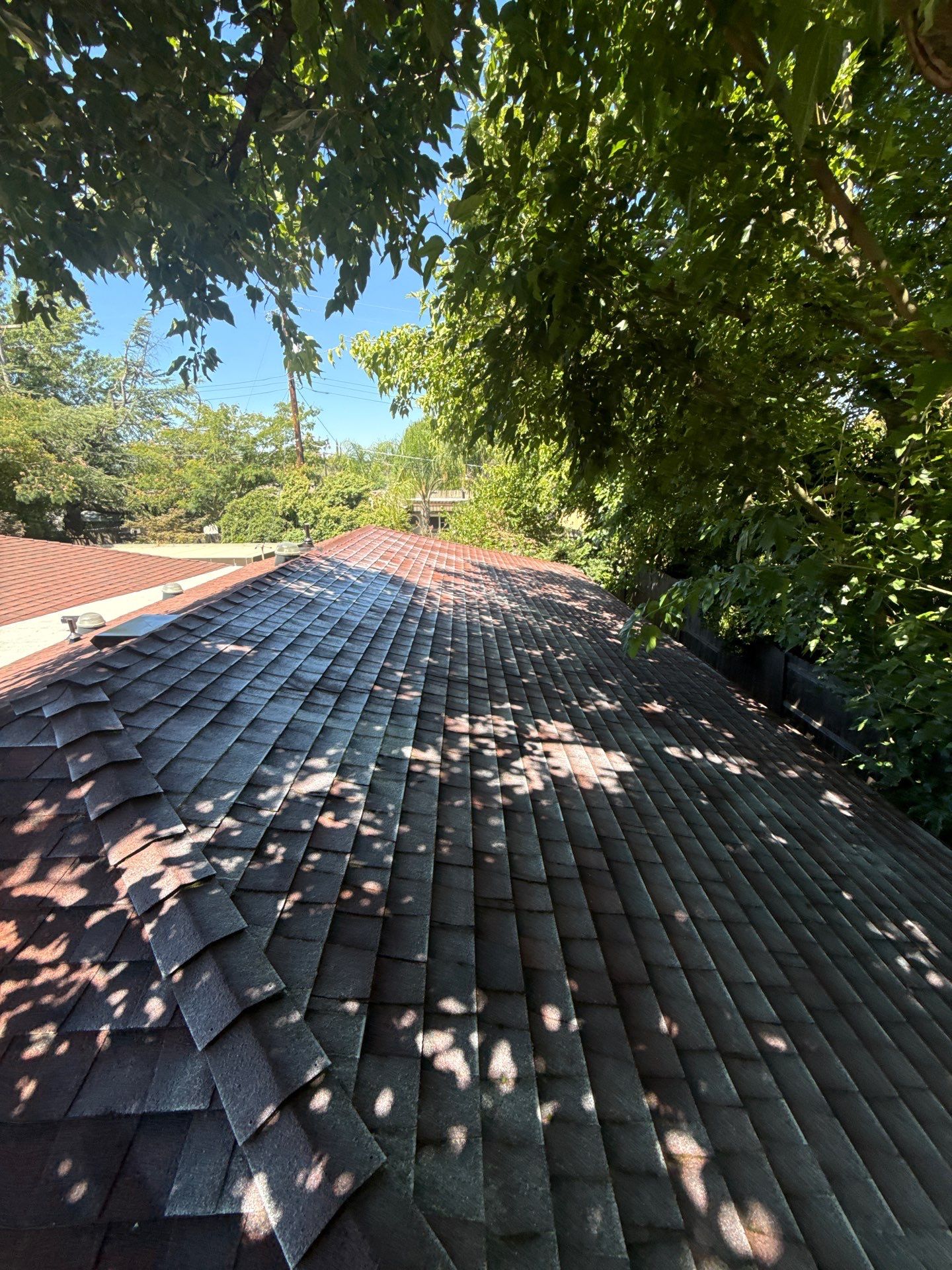 Roof Rejuvenation using Roof Maxx Treatment by Roof Maxx of Folsom