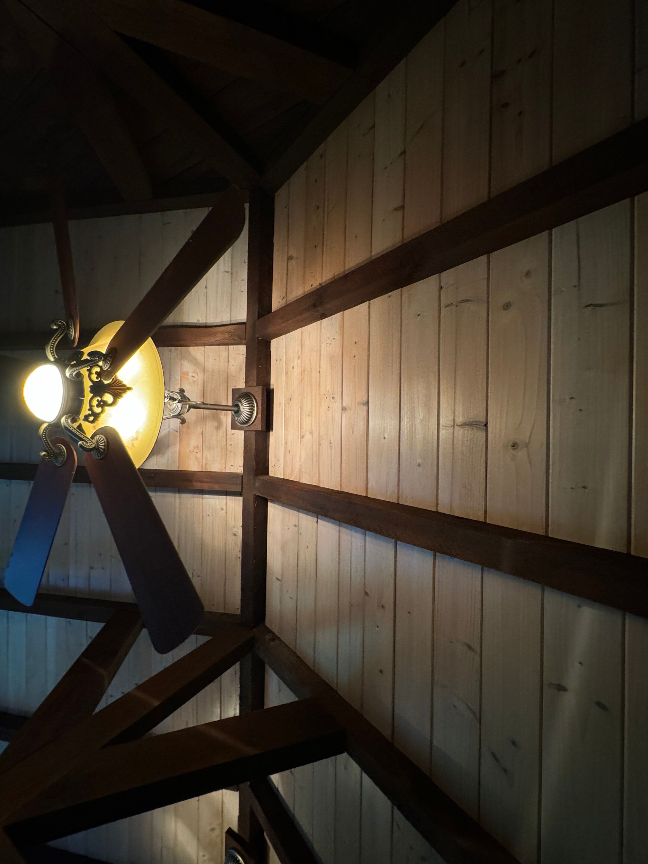 Attic & Sunroom Mold Remediation by Home Guarantee, LLC