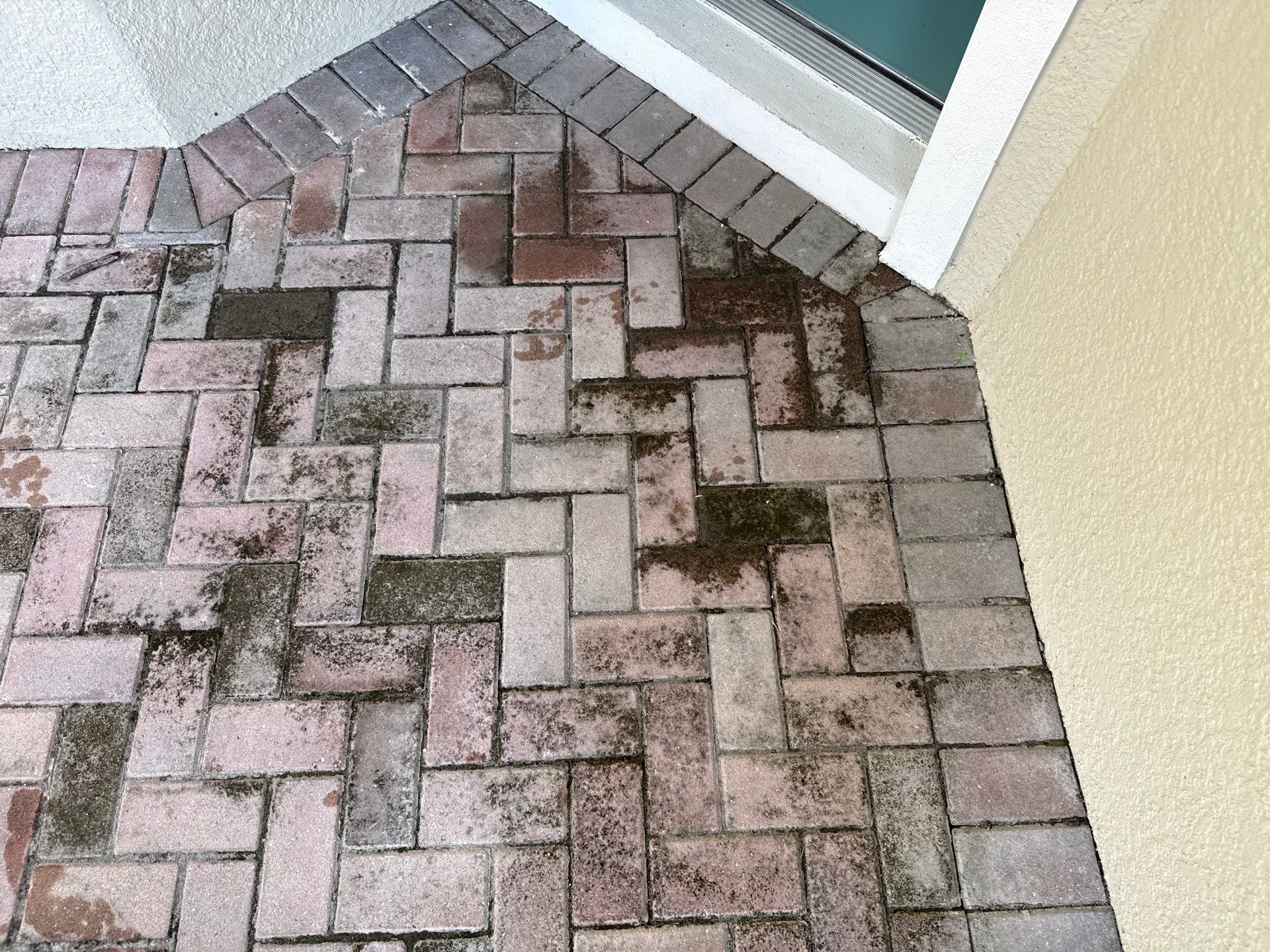 Complete House Wash, Driveway & Lanai Cleaning – Trevesta, Palmetto FL by Sunshine AquaWash