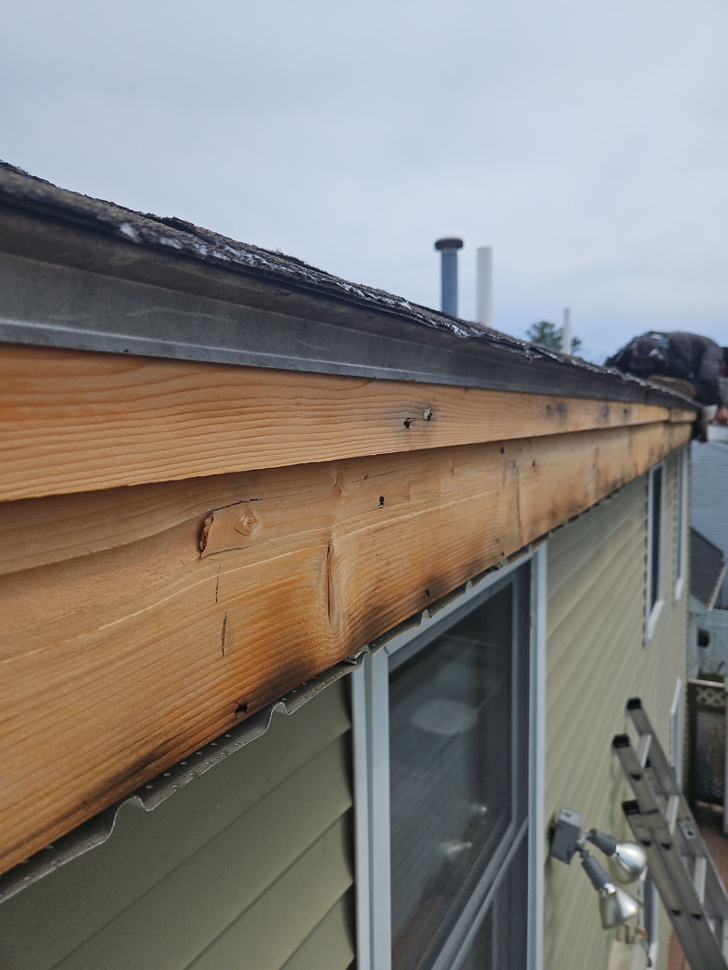 Roof Repair & Fascia Trim Work in Lowell, MA by Mighty Dog Roofing of Greater Middlesex County